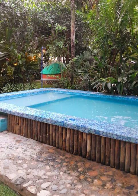 Photo 41