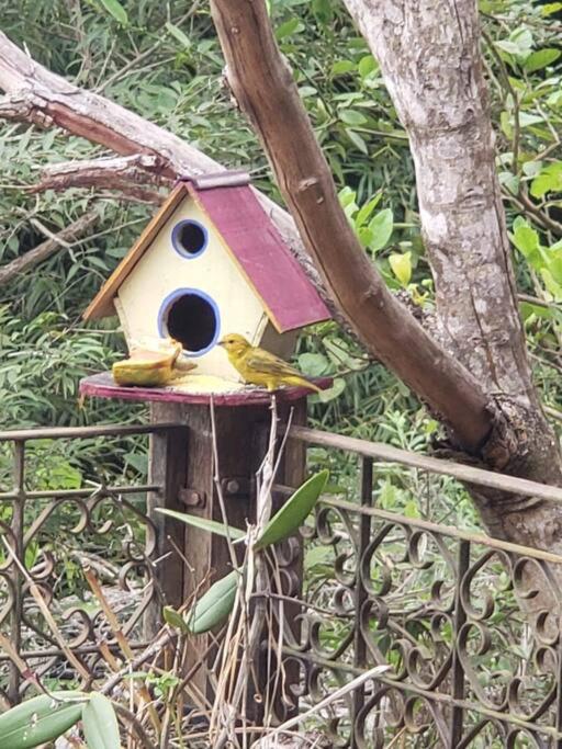 Casa Especial em Catas Altas
