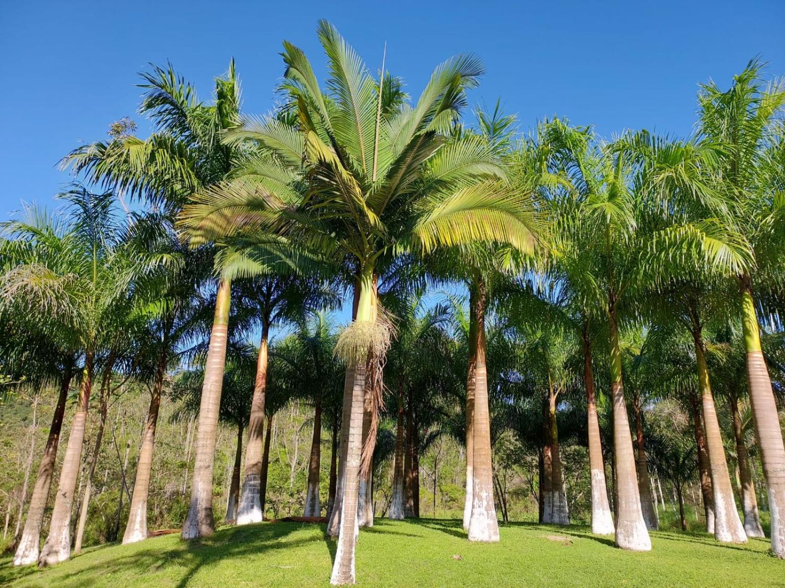 Pousada Fazenda Vale Verde