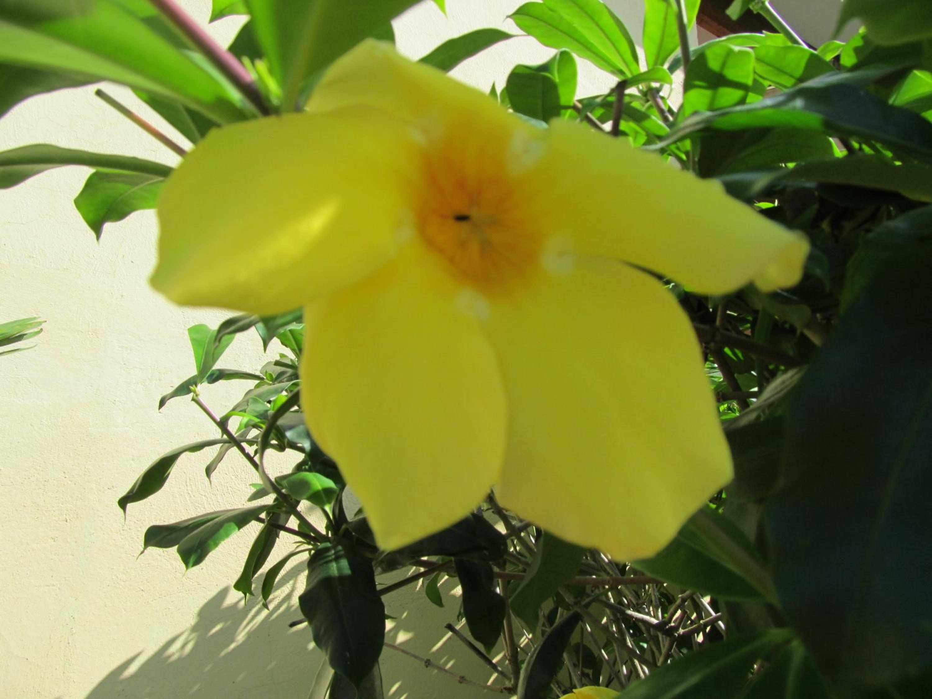 Photo 29