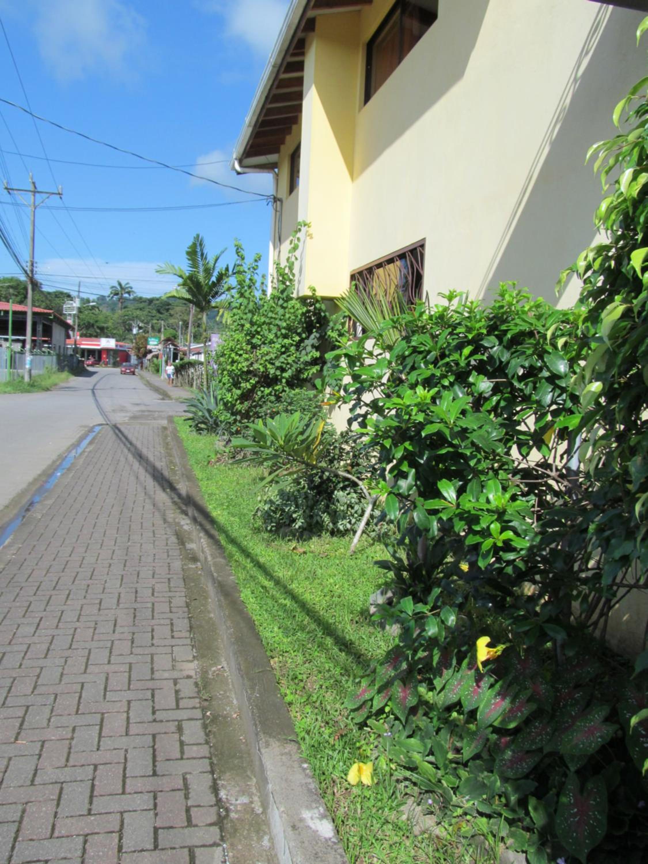 Photo 44