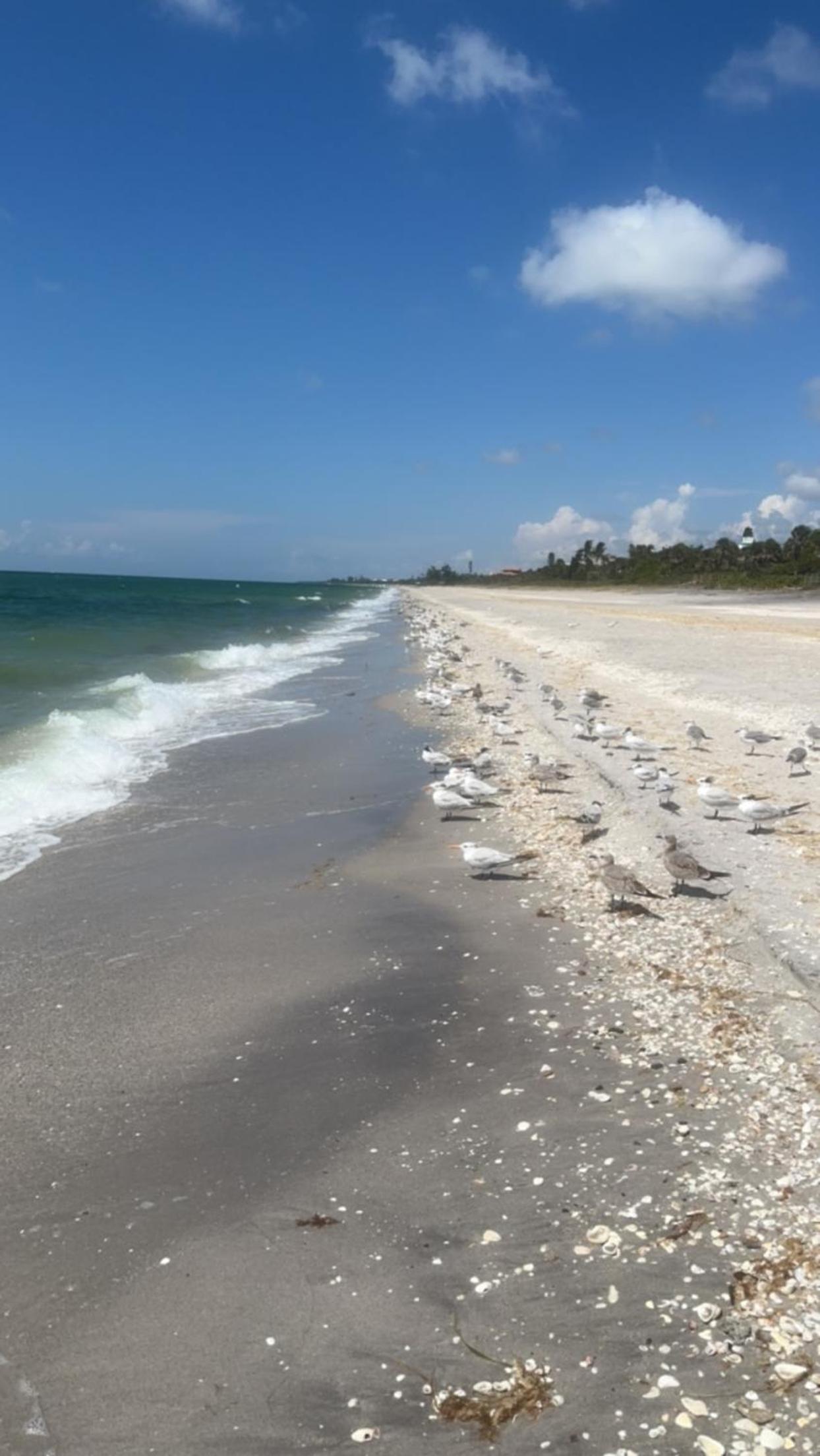 The Pearl Beach Inn
