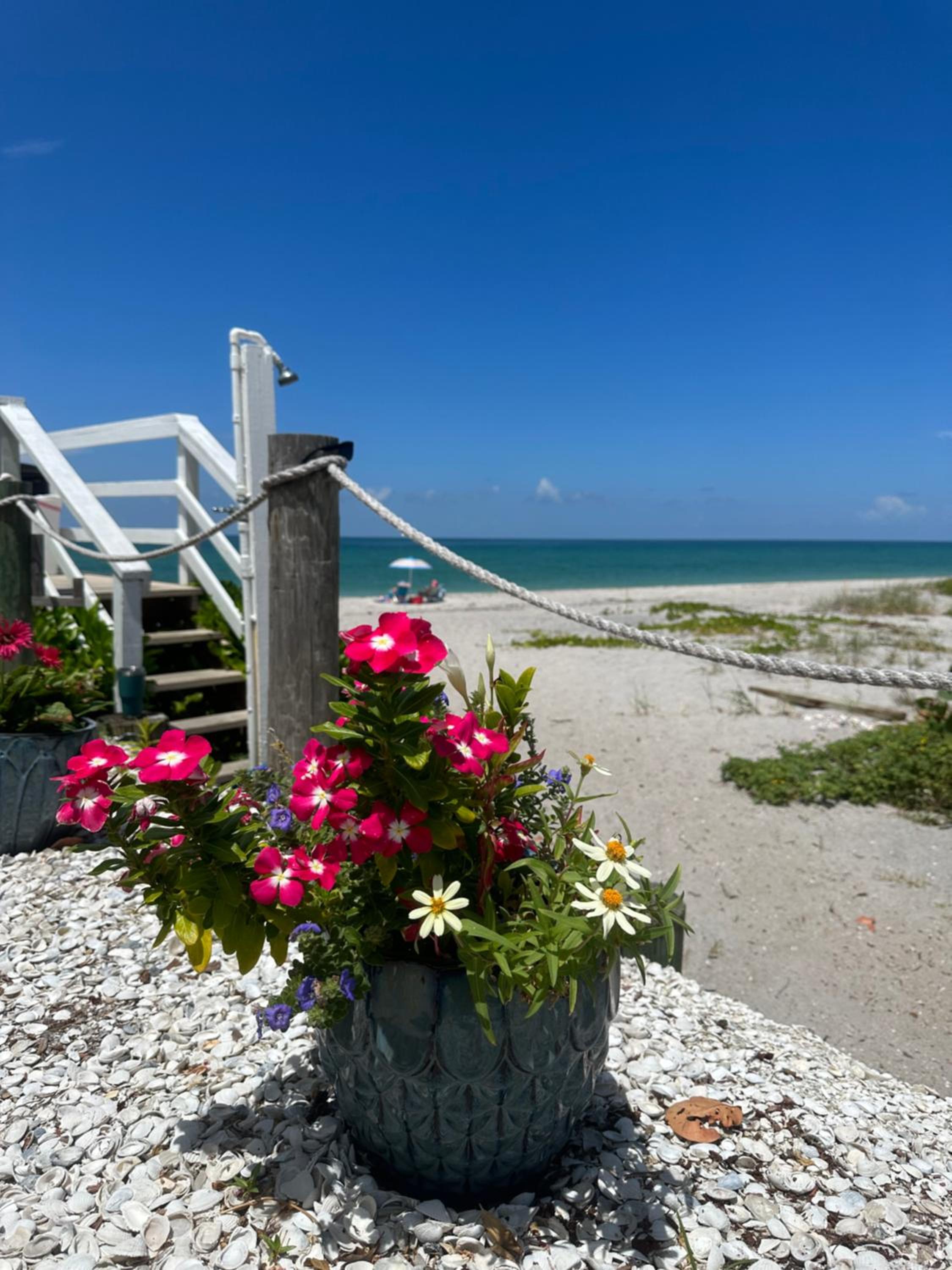 The Pearl Beach Inn