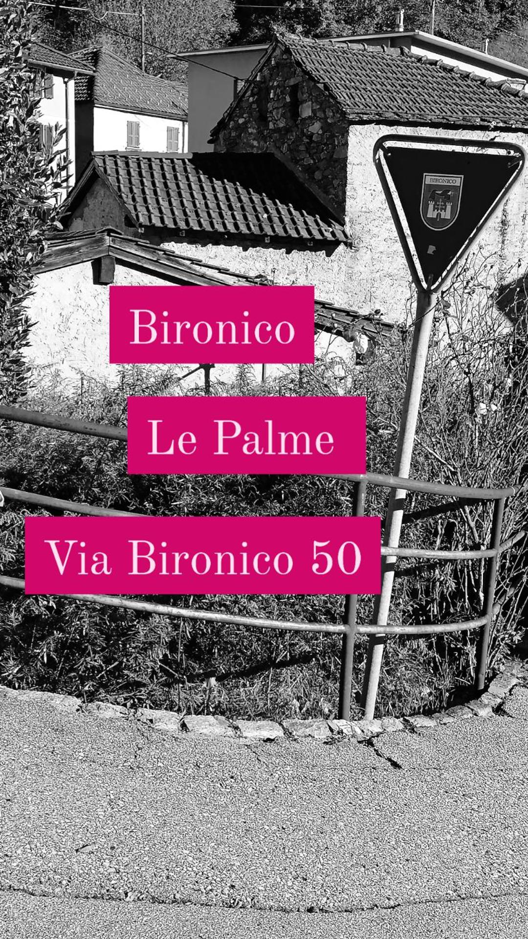 Le palme