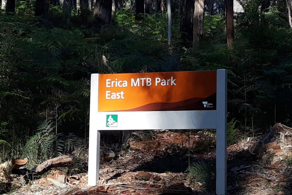 Erica Escape