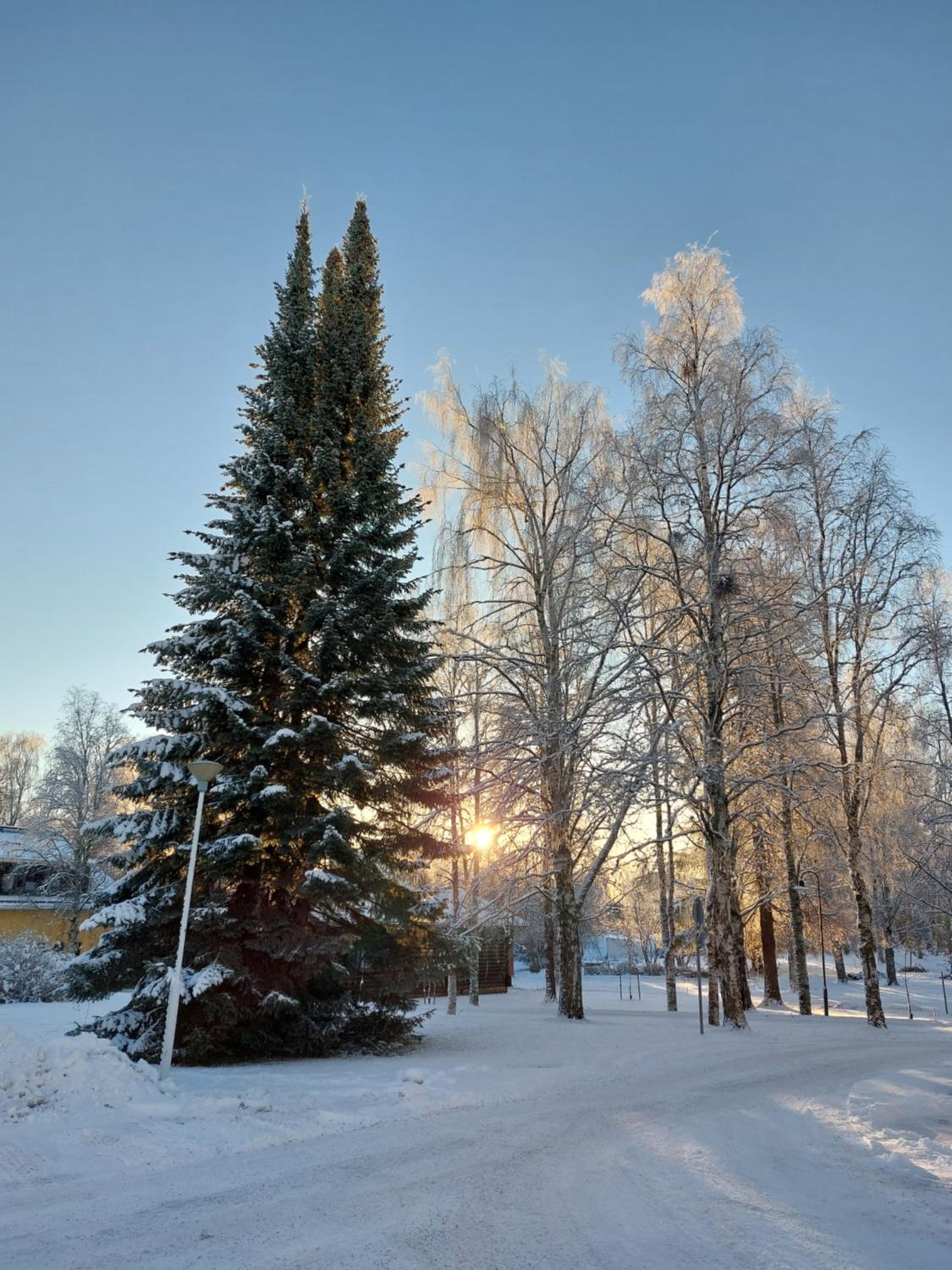 Rovaniemi traveller's nest