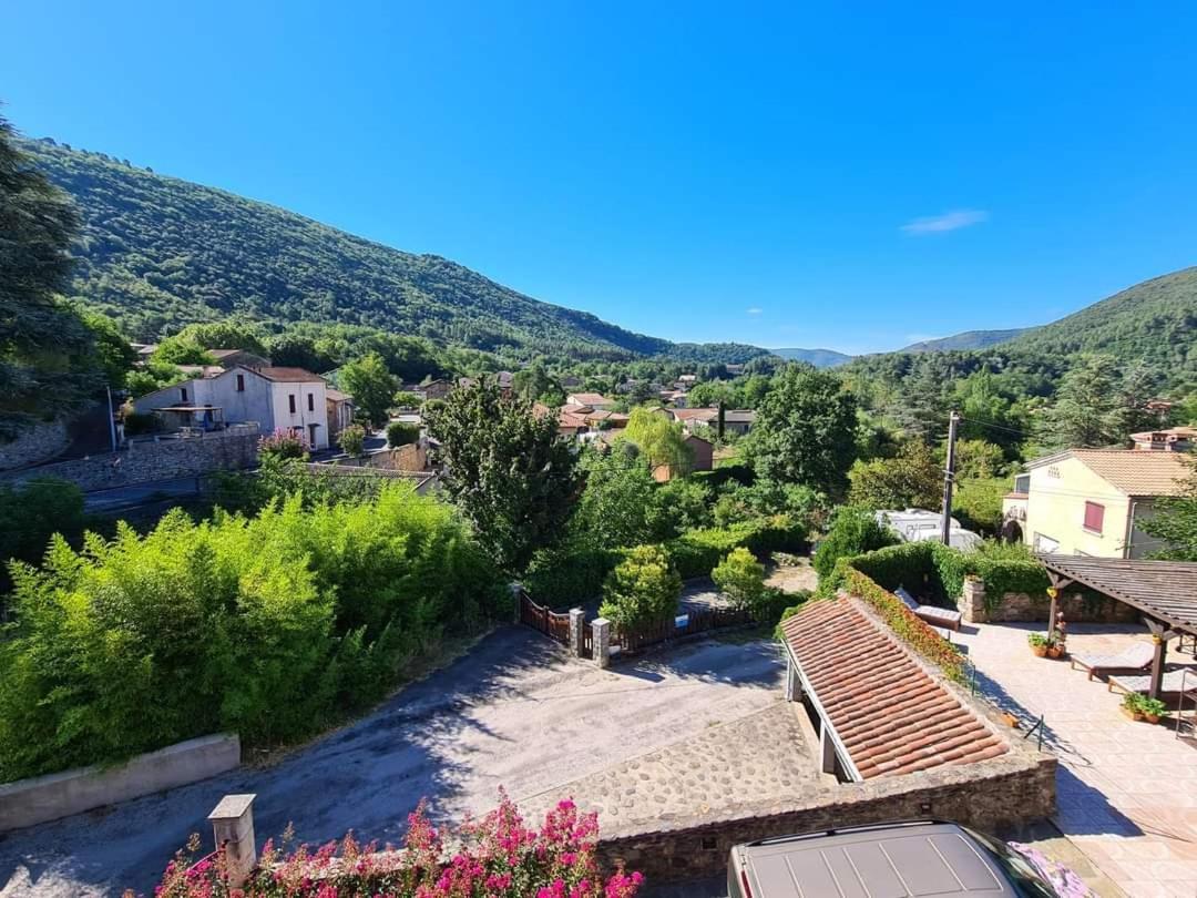 Mes Maisons - Two Gites with Private and Shared pools in Cévennes