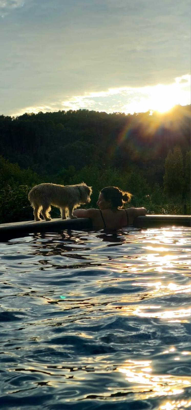 Mes Maisons - Two Gites with Private and Shared pools in Cévennes