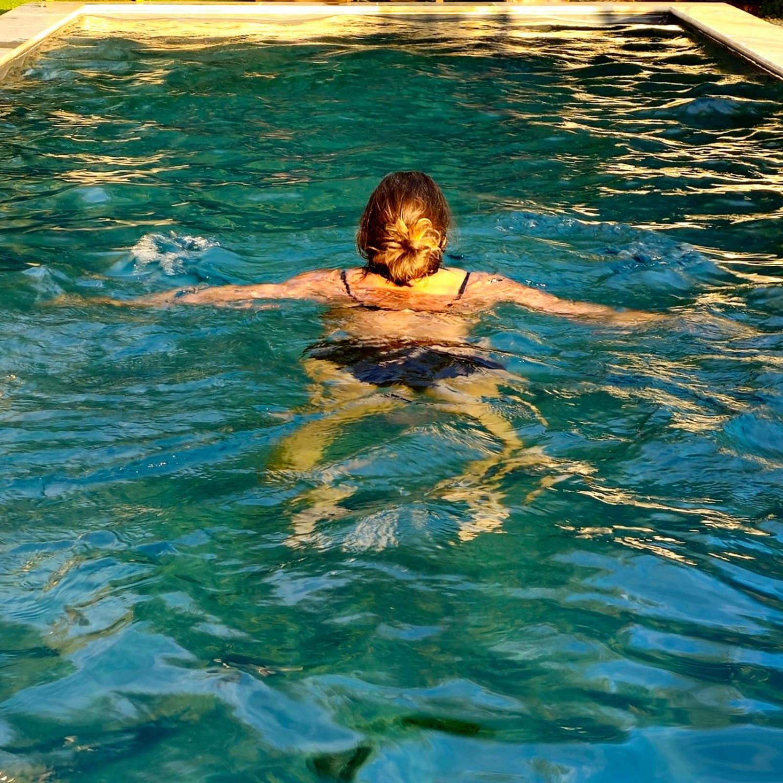 Mes Maisons - Two Gites with Private and Shared pools in Cévennes