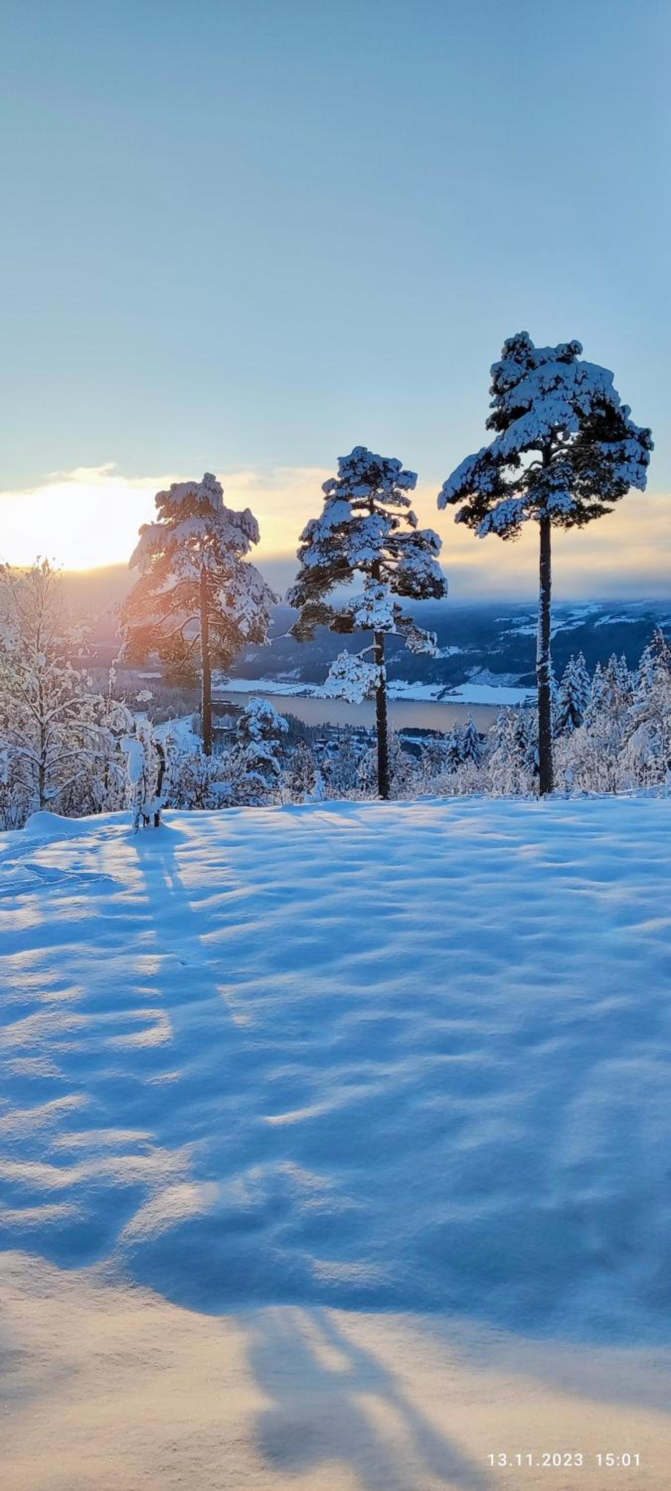 Nordgards Hagen