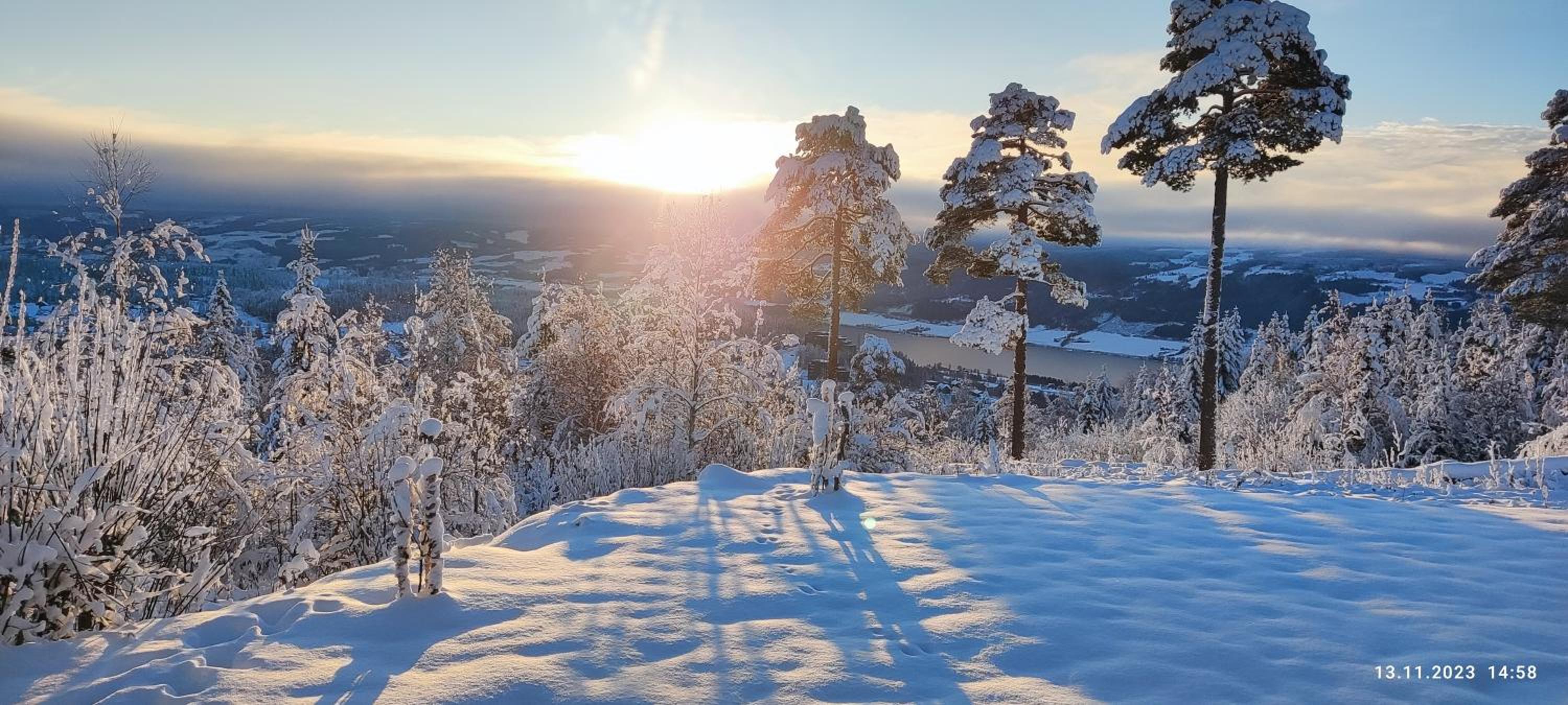 Nordgards Hagen