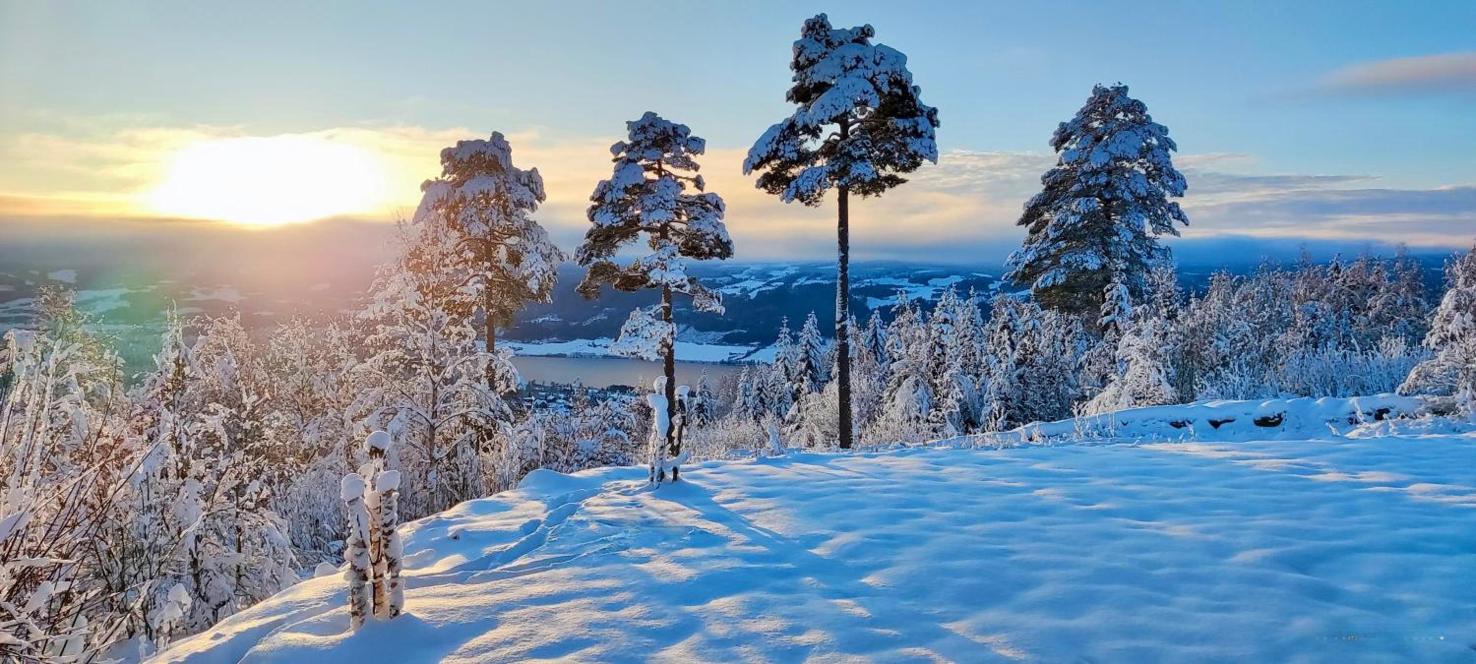 Nordgards Hagen