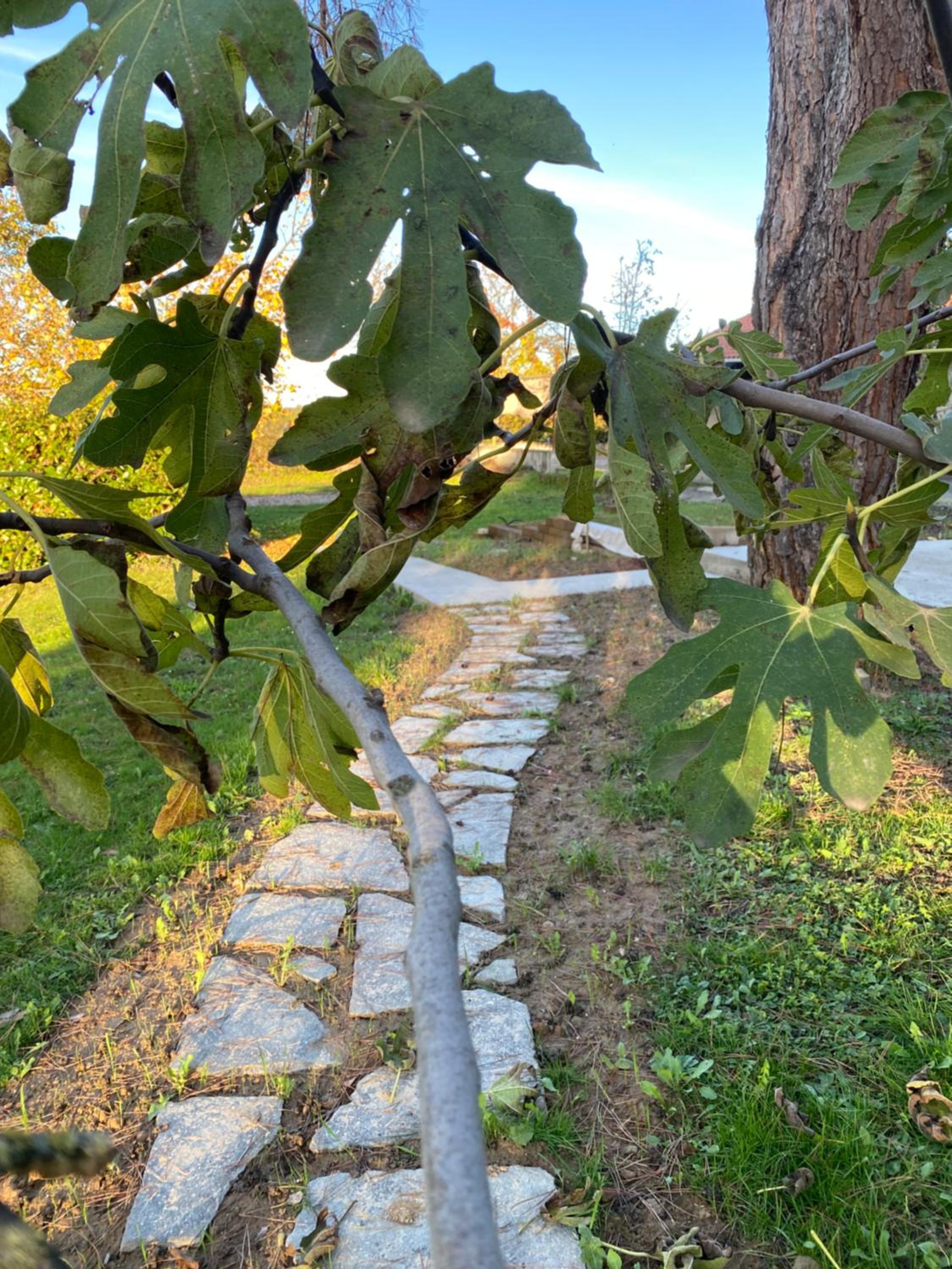 Photo 32