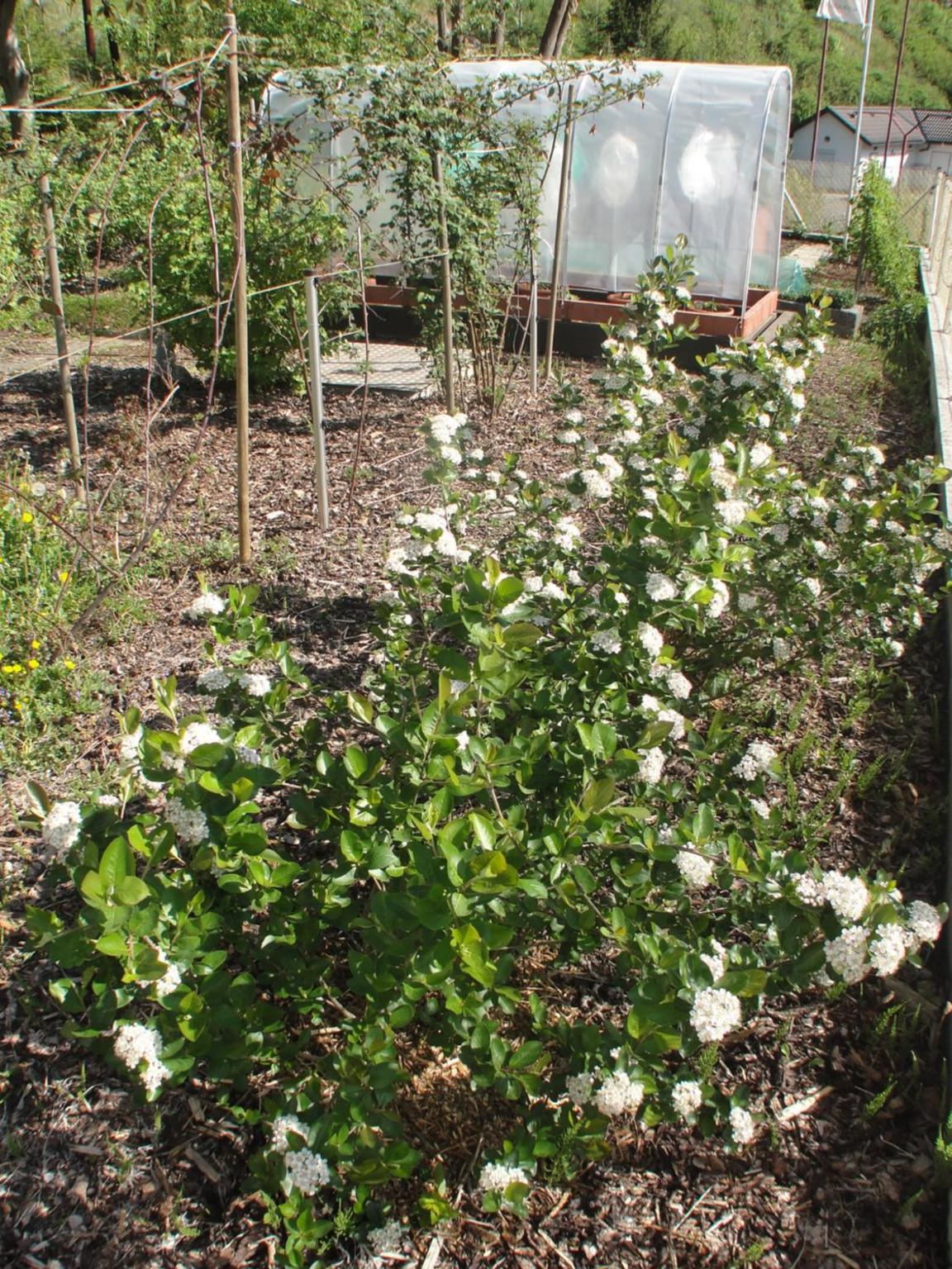 Photo 45