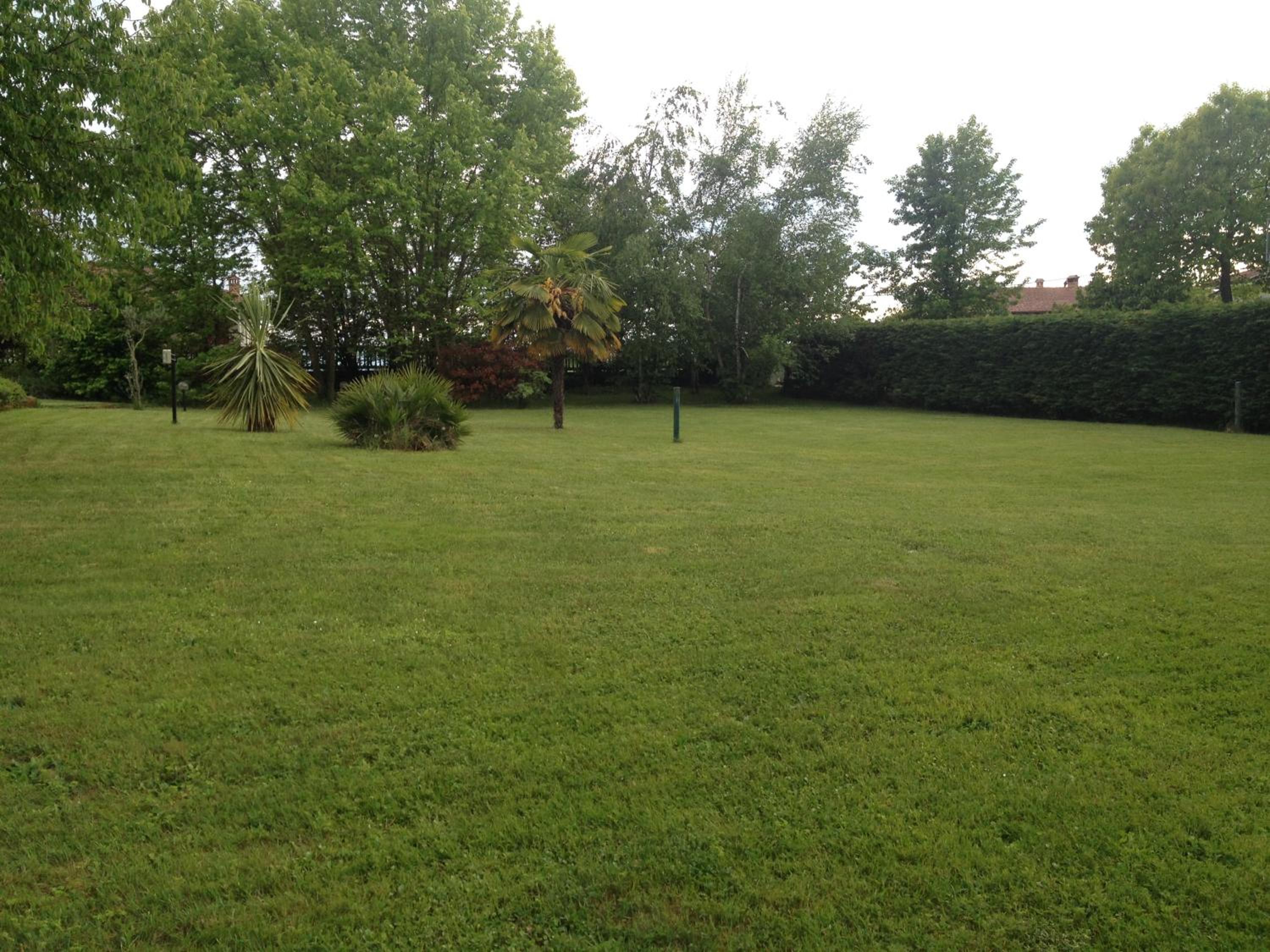 Photo 37