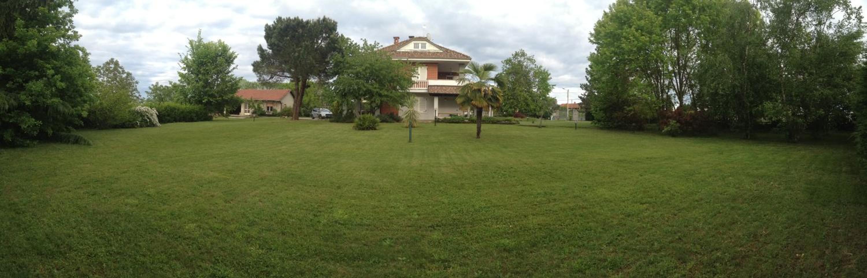 Photo 38