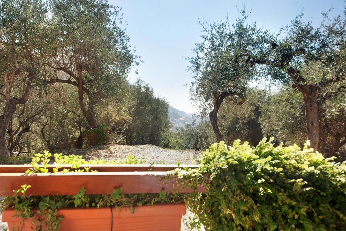 Casa Elena