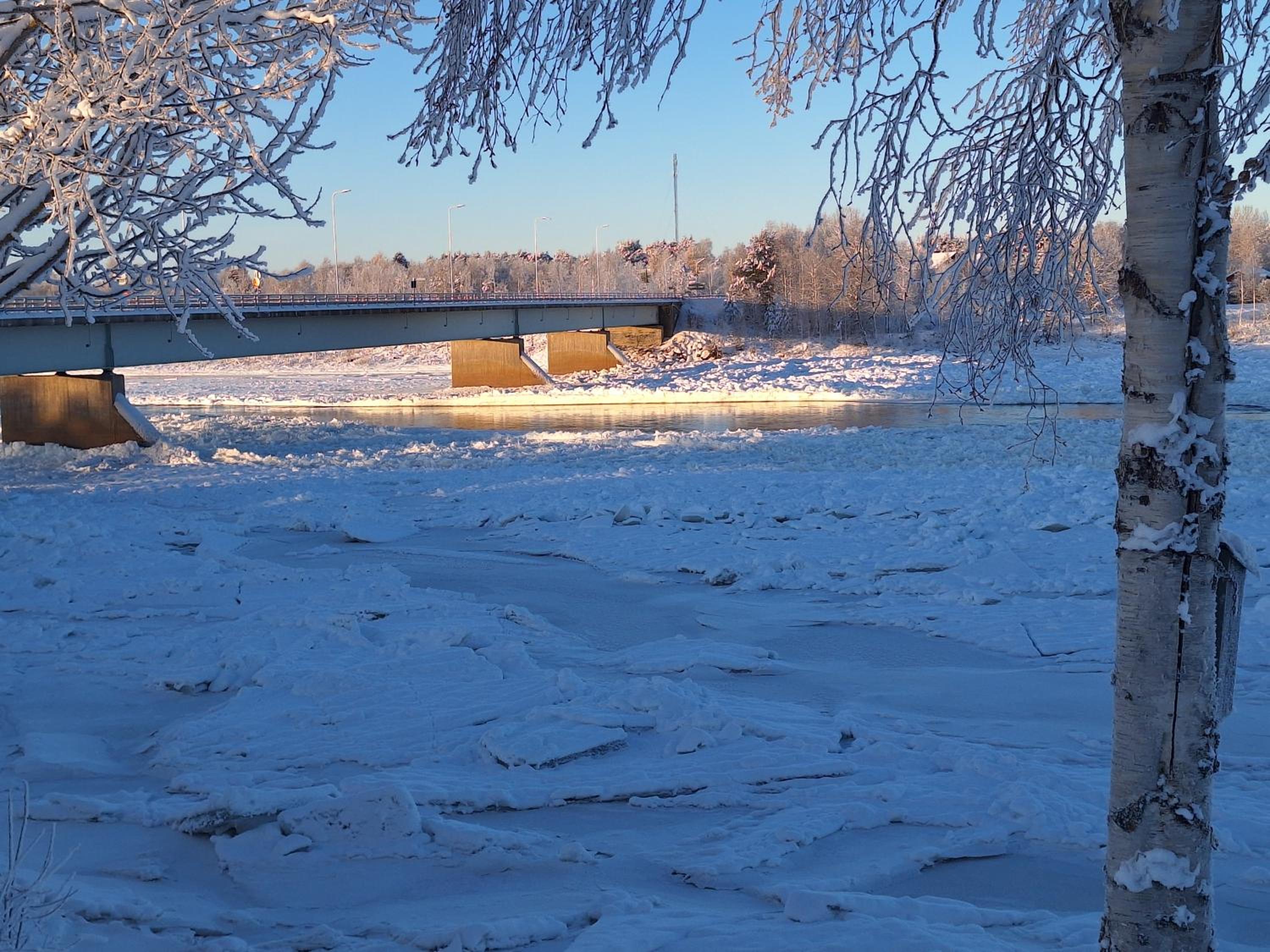 Tervetuloa nauttimhaan puhtaasta luonnosta Pelhoon