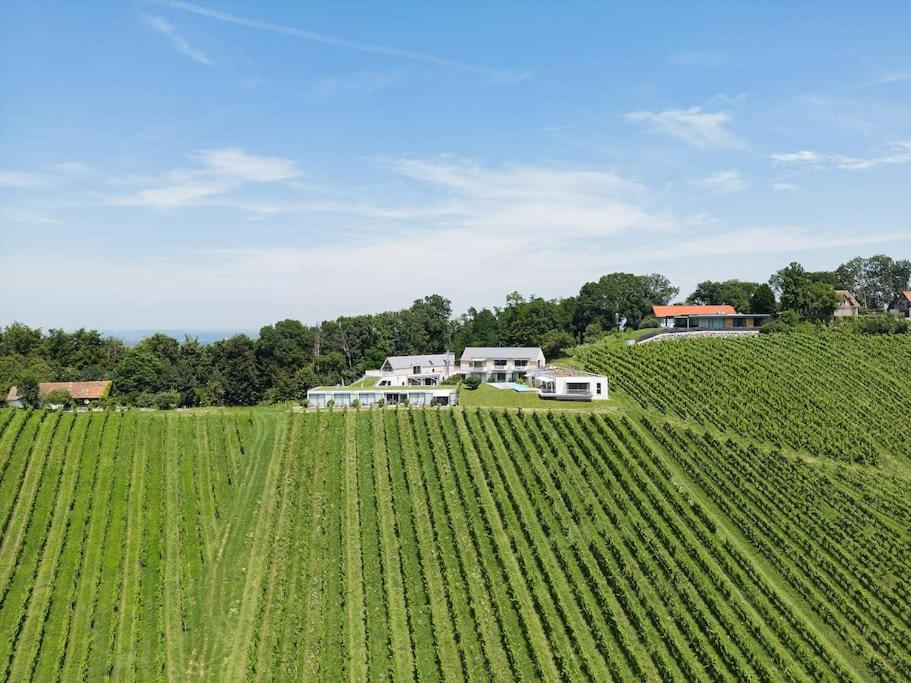 Family *Relax Apartment* für 6 in den Weinbergen