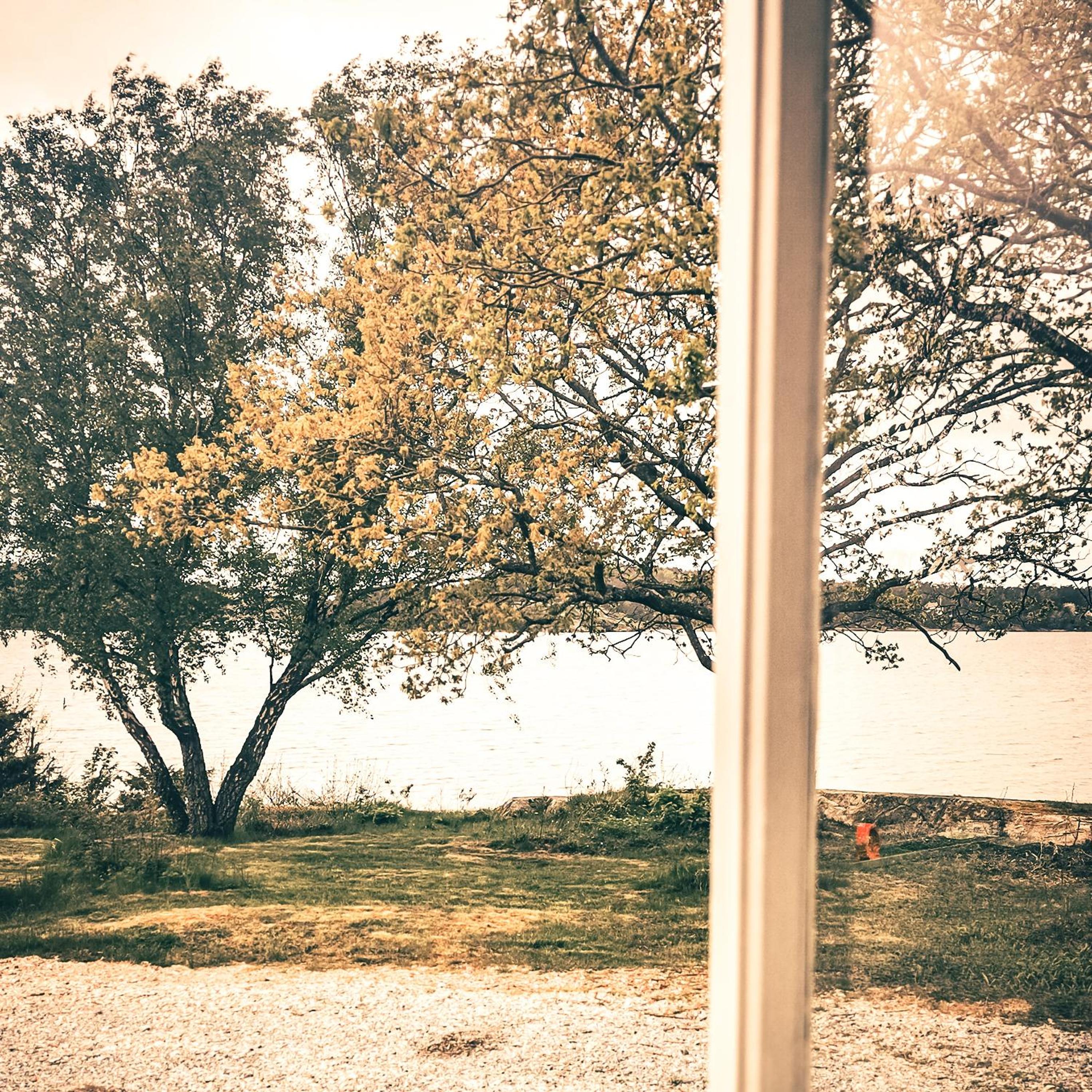 Surfviken Glamping and B&B