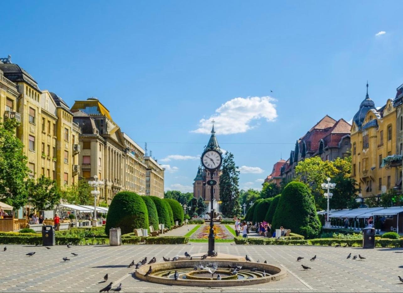 Premium Timisoara