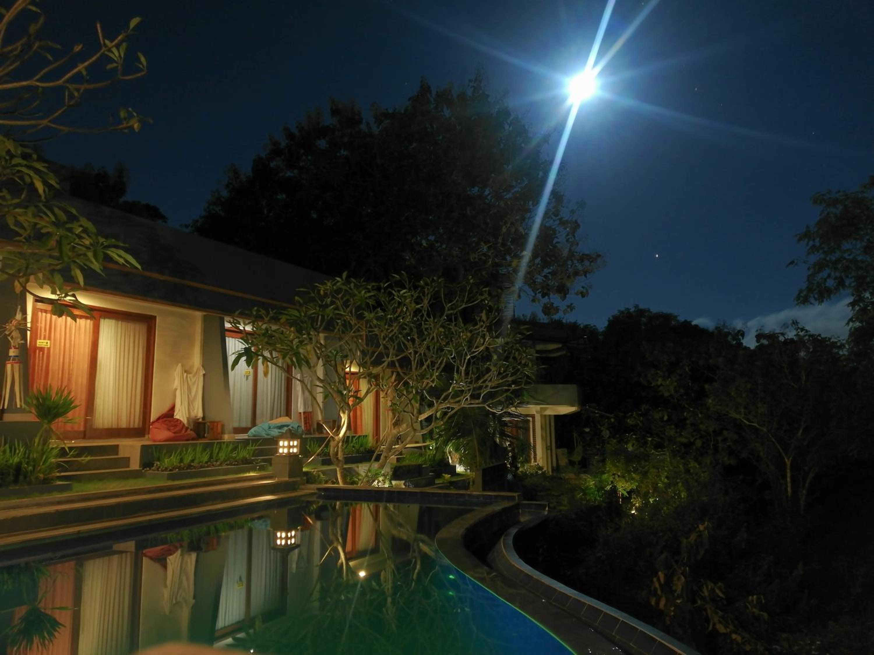 Bagus Ink Surf Camp