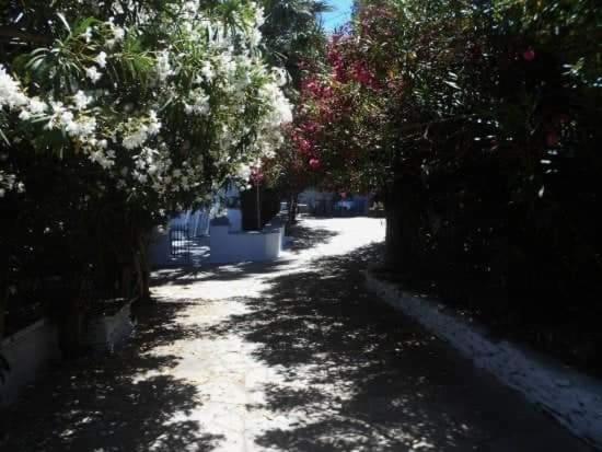 Greenhouse at Tinos view 2