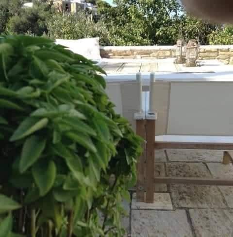 Greenhouse at Tinos view 5