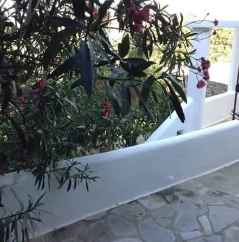 Greenhouse at Tinos view 3