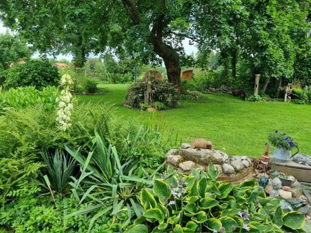 Photo 27