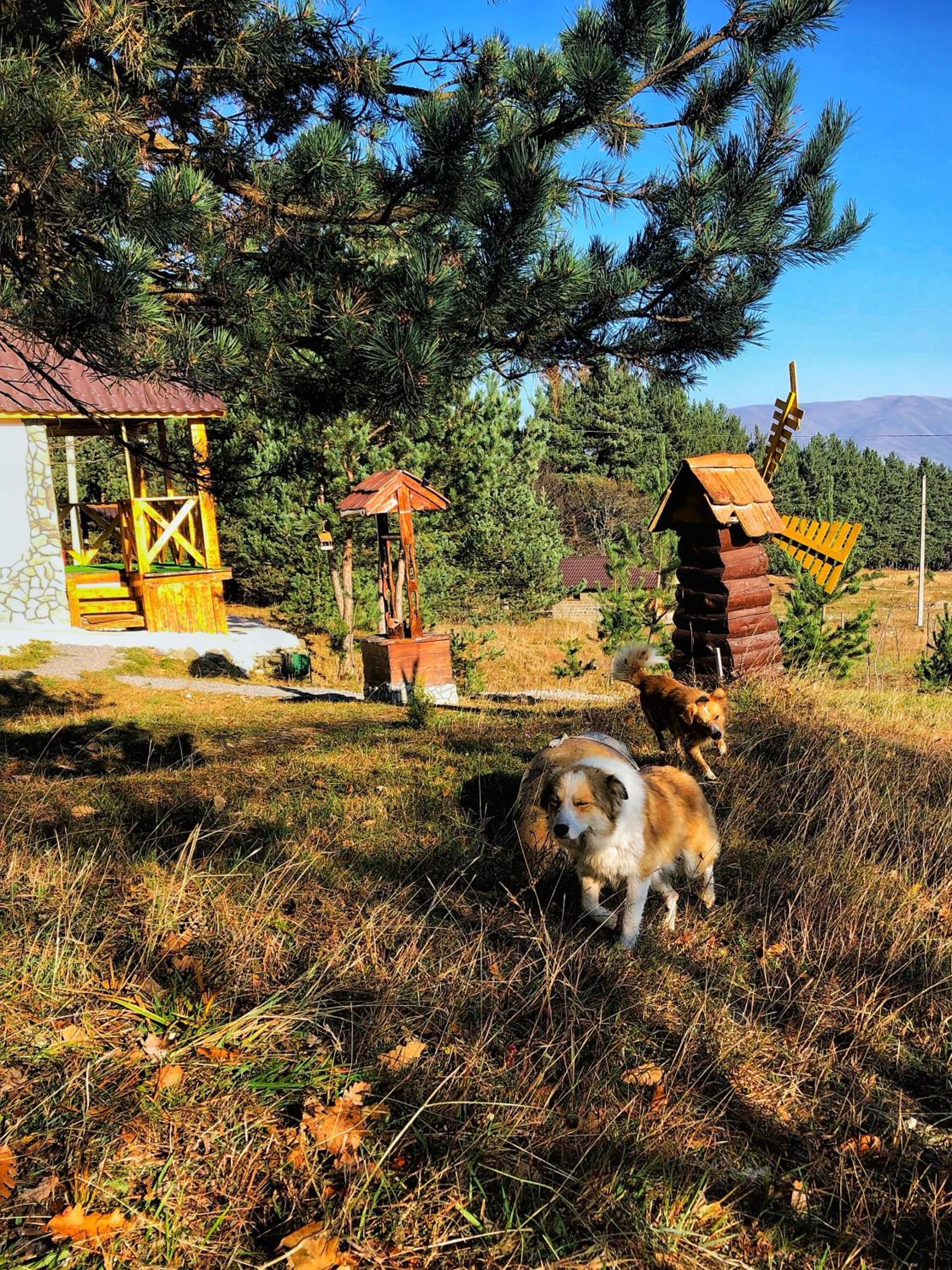 Eco Park Resort in Stepanavan Dendropark