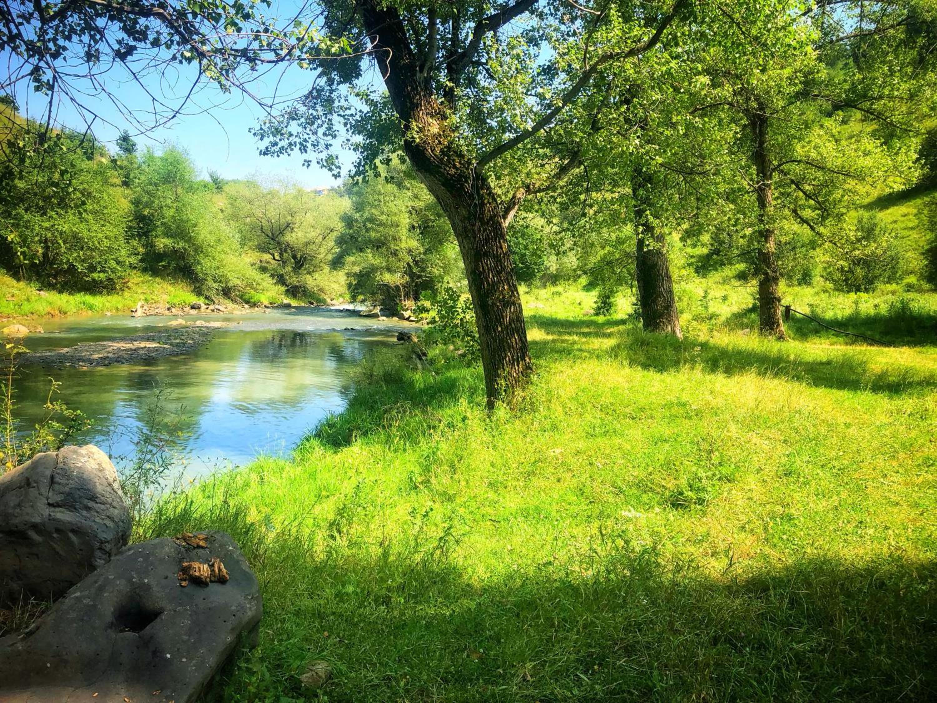 Eco Park Resort in Stepanavan Dendropark