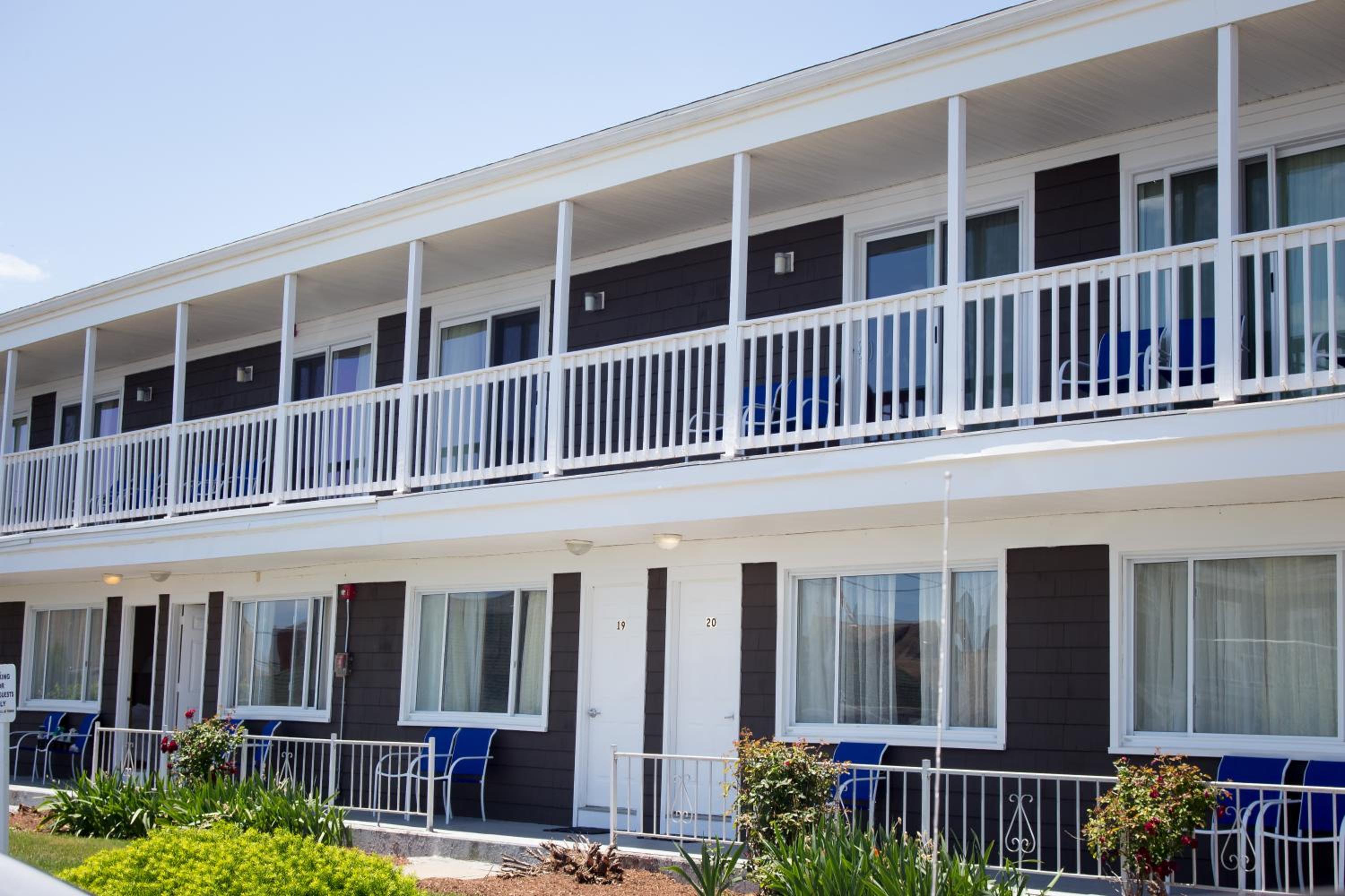 The Shore House