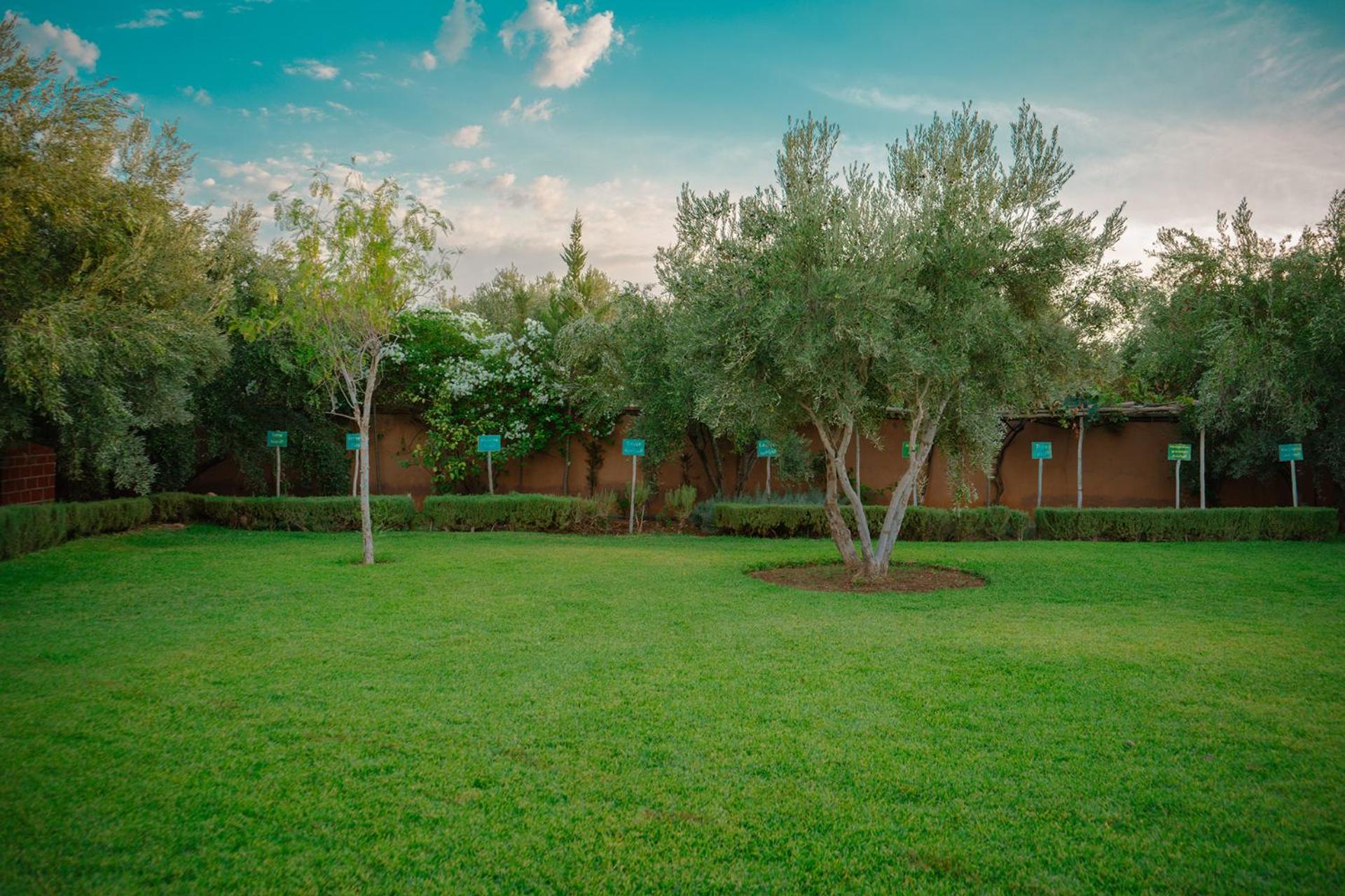 Riad Villa Seniame view 3
