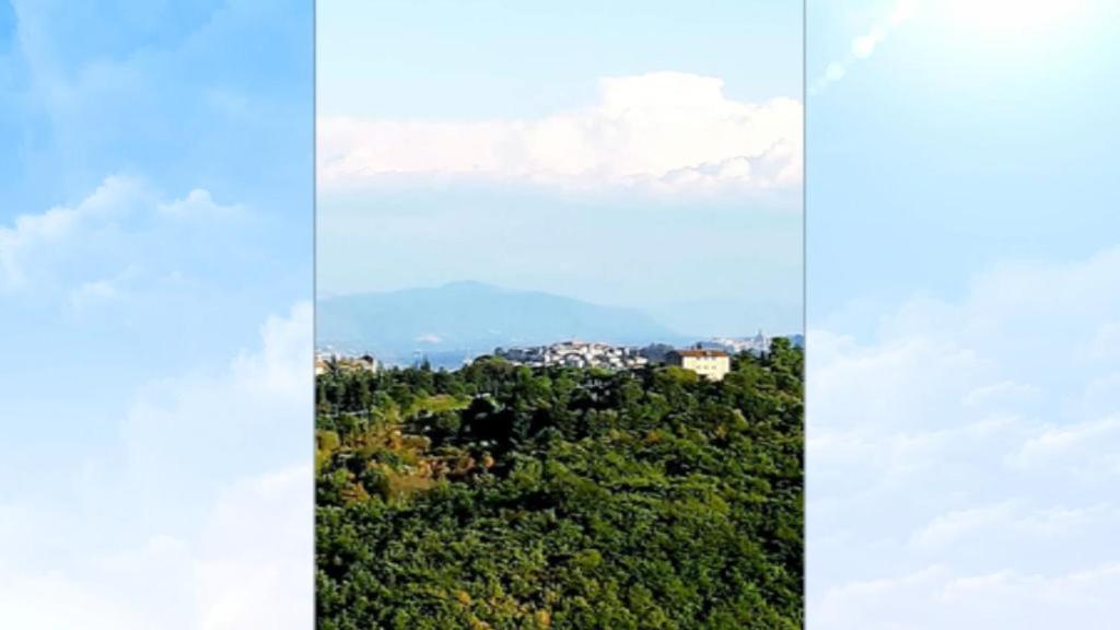 Residenza Annetta photo 3