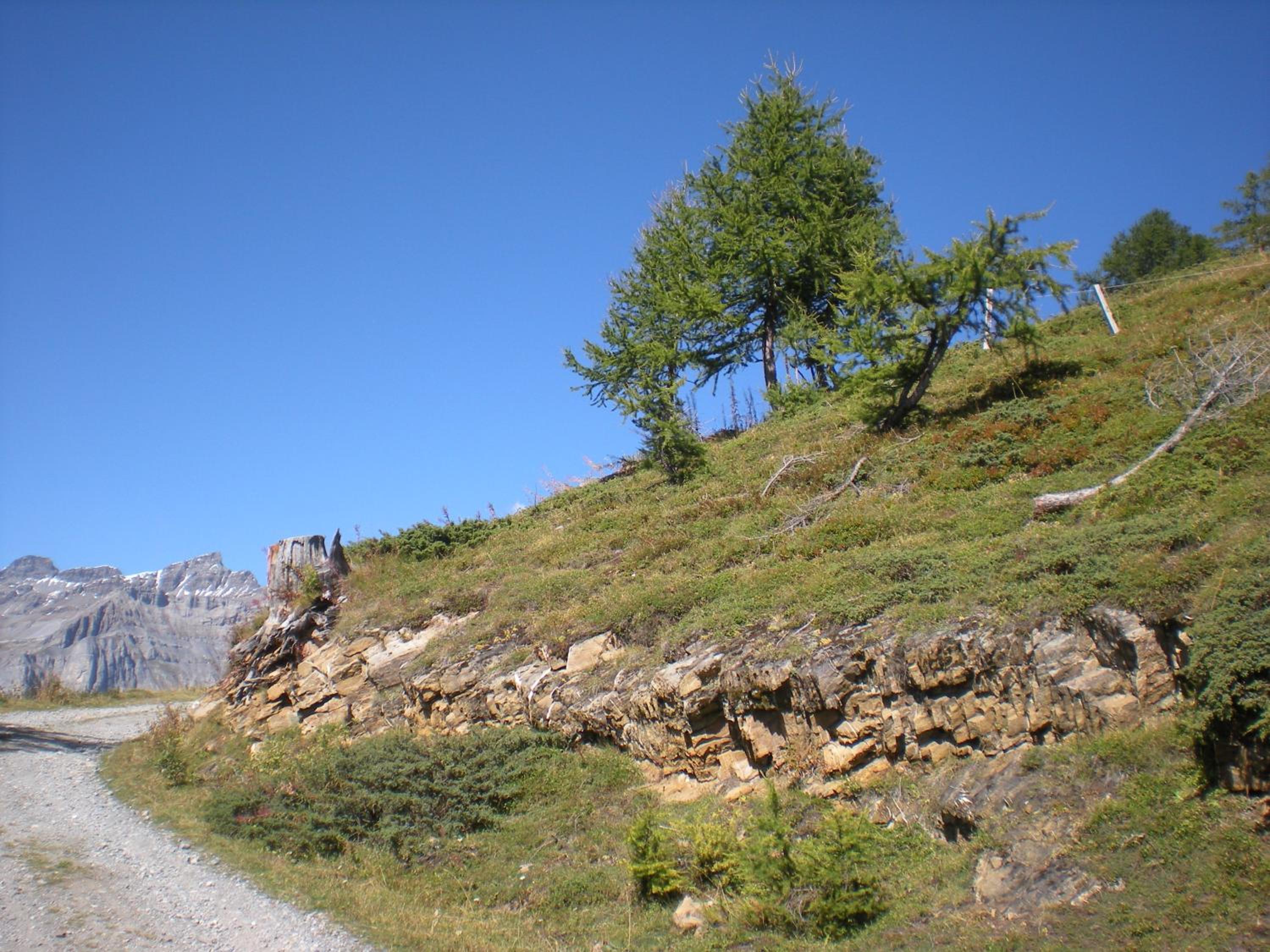 Photo 7