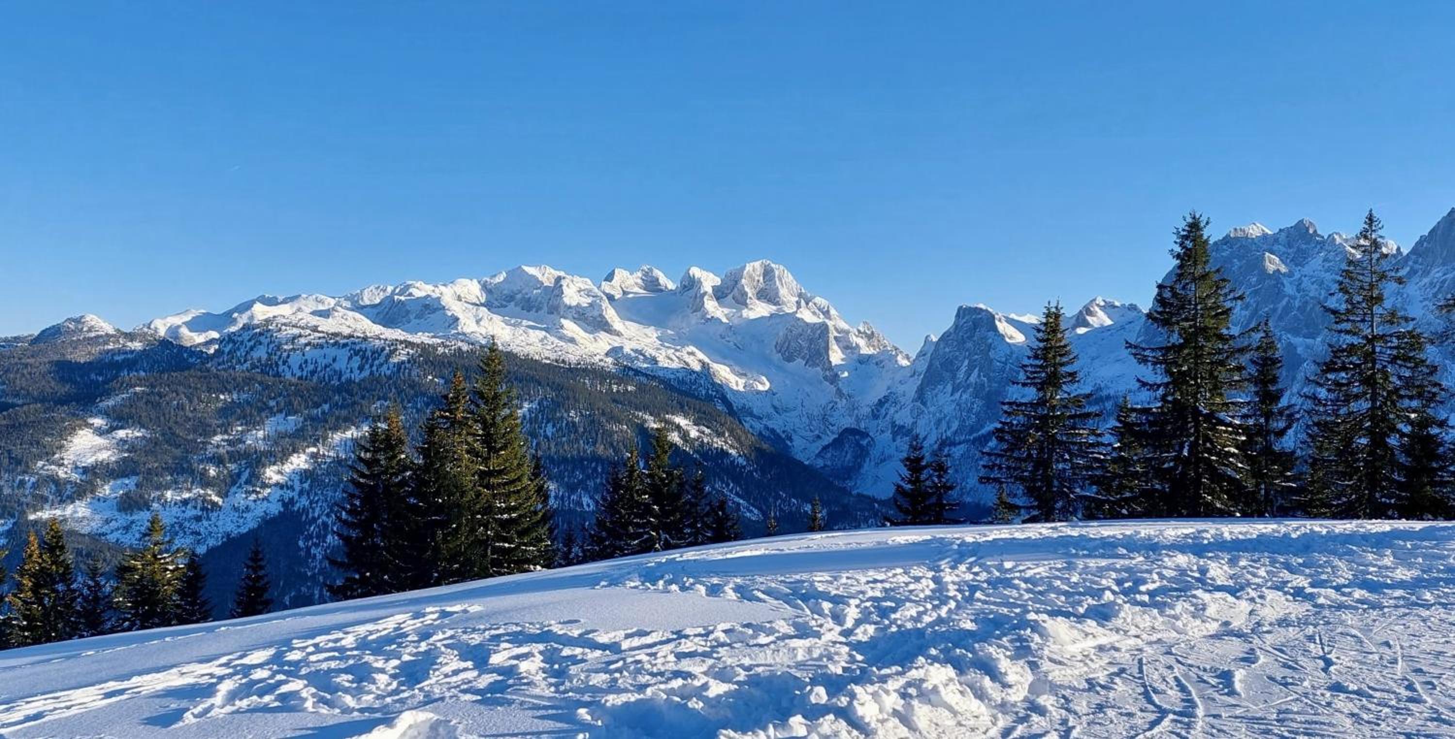 Appartement Twin Peak Edelweiss