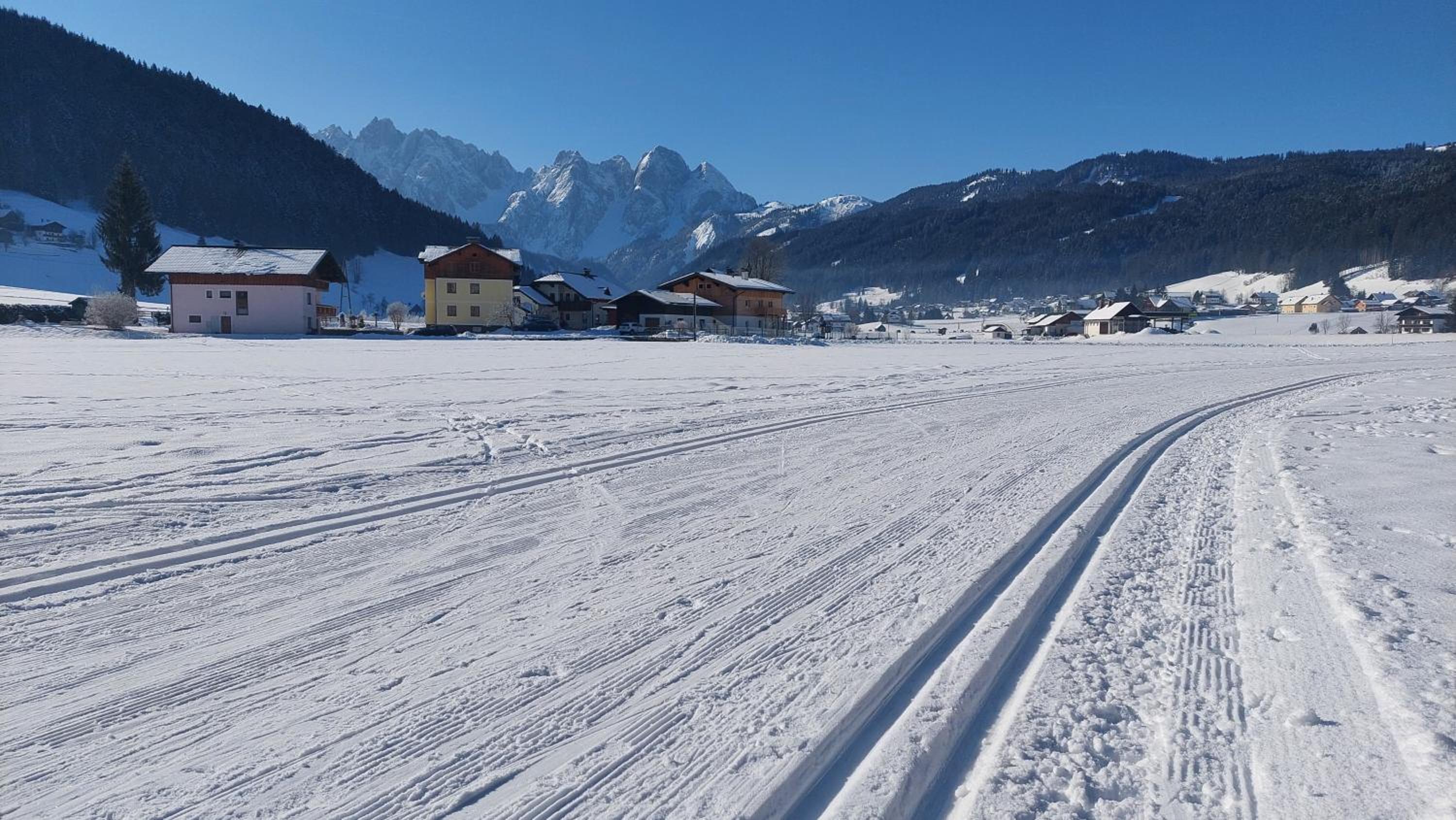 Appartement Twin Peak Edelweiss