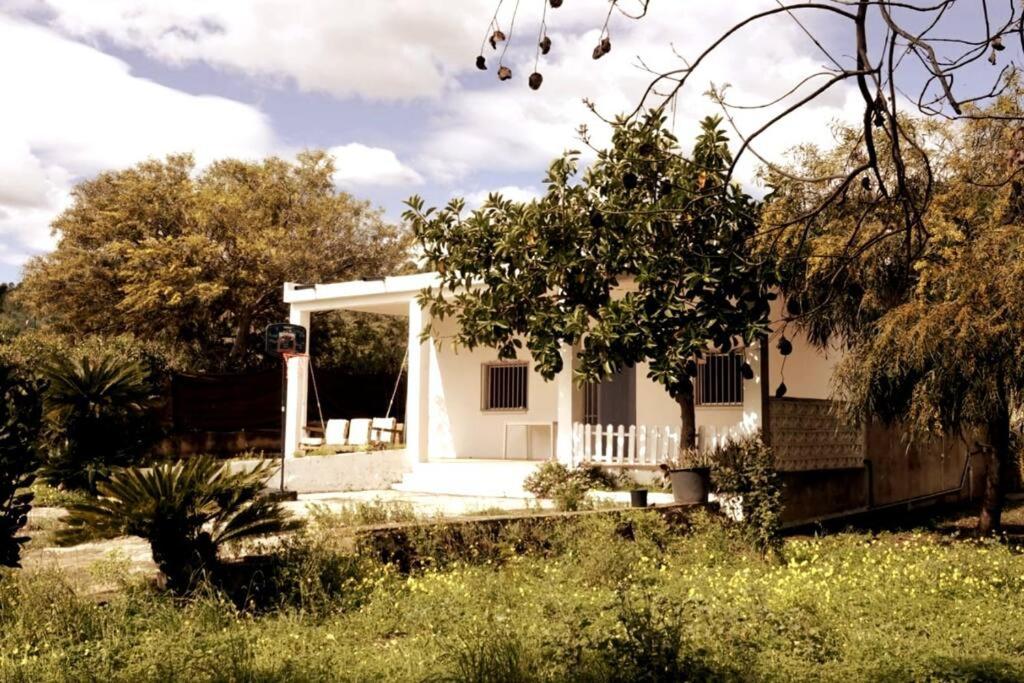 Photo 40