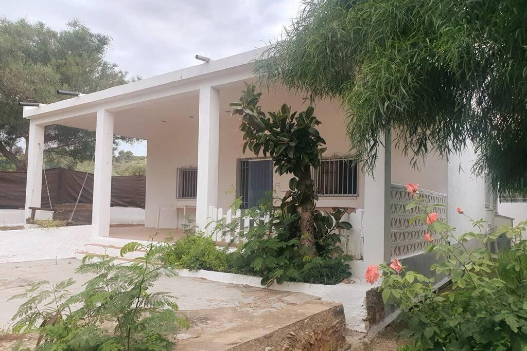 Casa Campo con Piscina y Barbacoa para 6 personas en plena naturaleza view 4