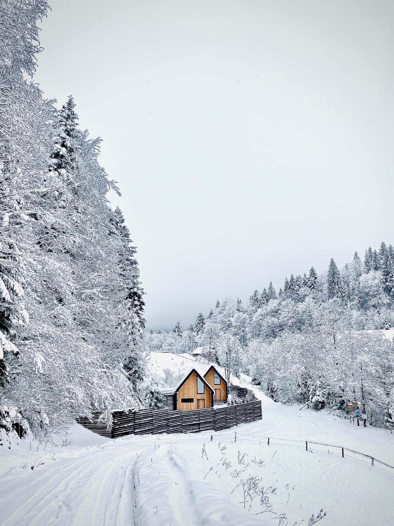 BagriWood Lodges (Лоджі БагріВуд) view 4