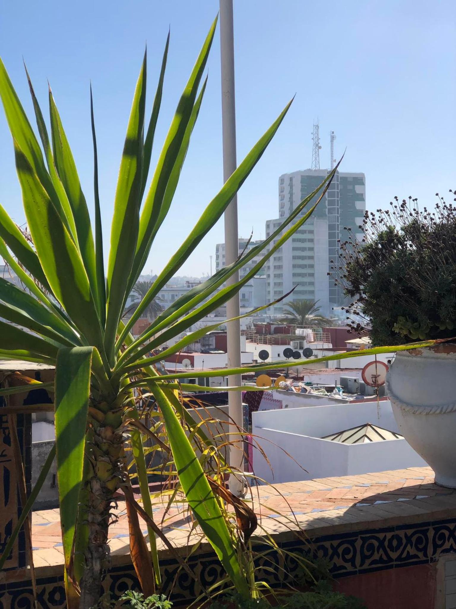 Riad Razoli Sidi Fateh
