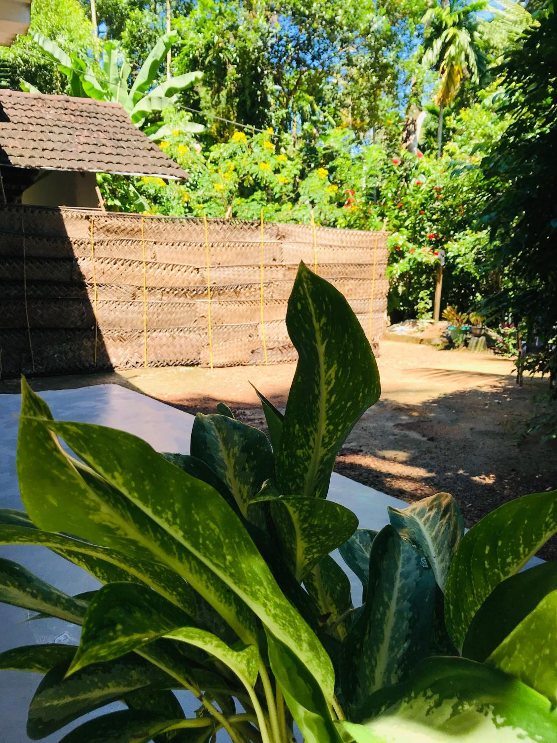 Green Inn Stay view 5
