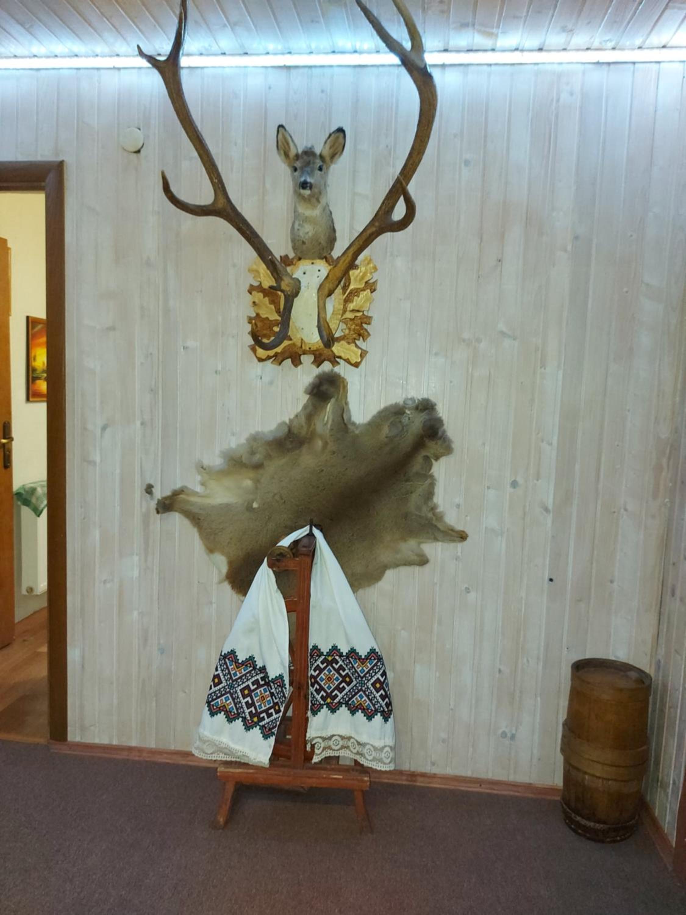 Photo 42