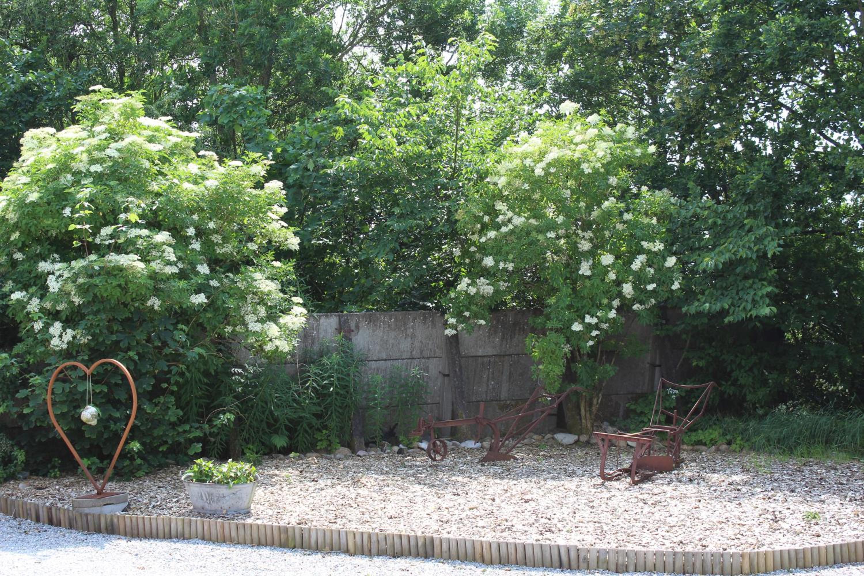 Photo 43