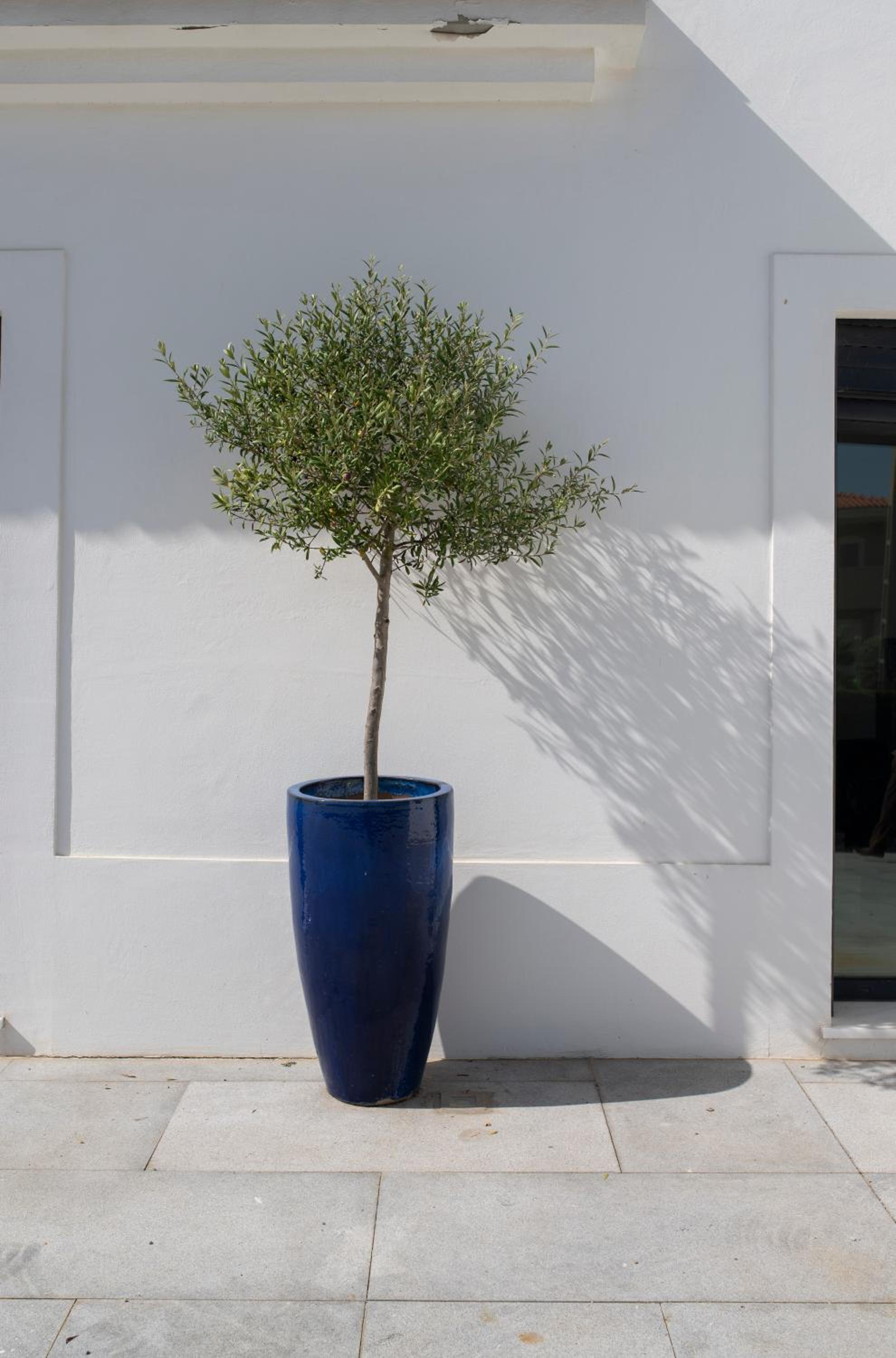 Photo 34