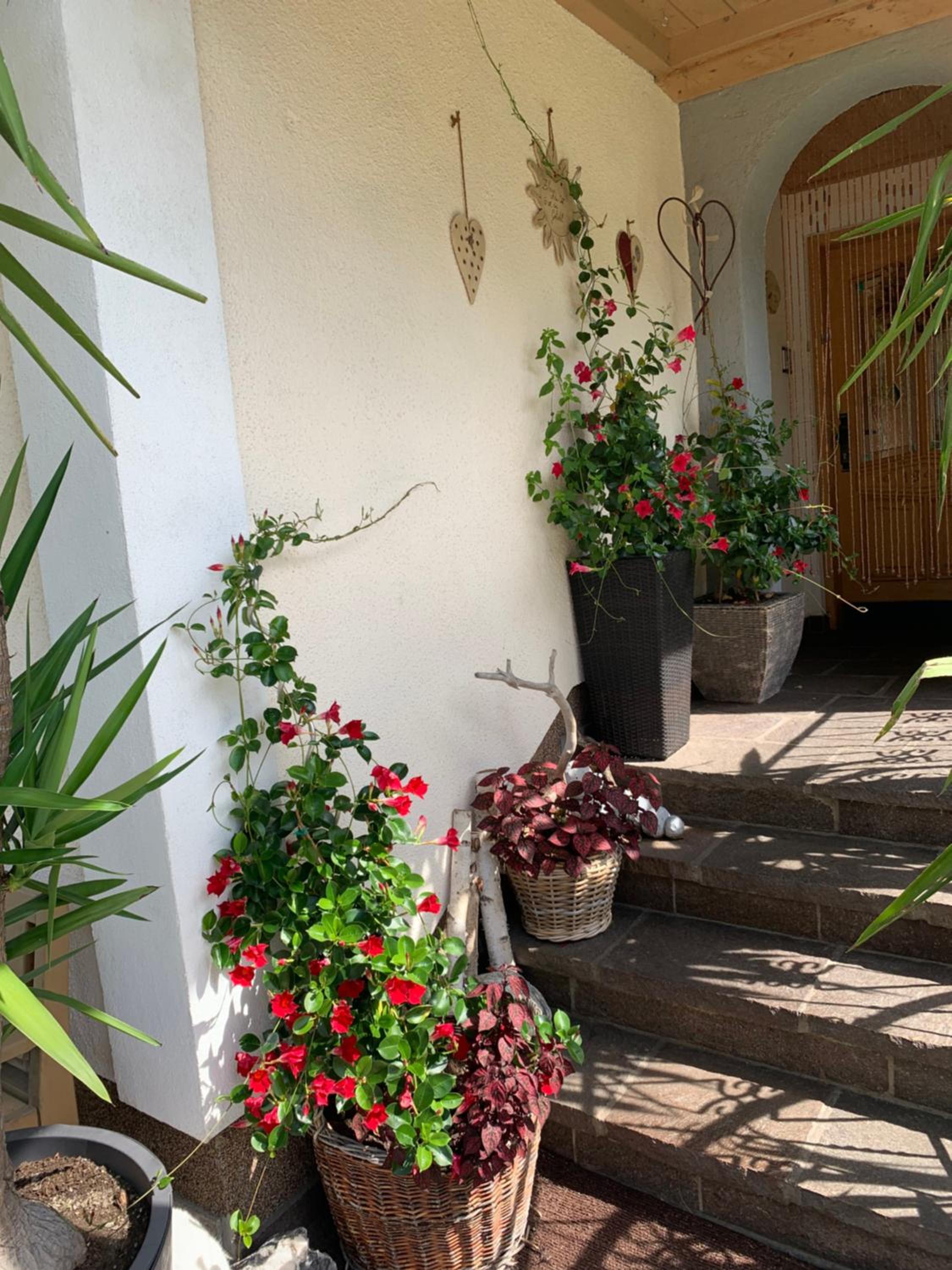 Appartement Brandner
