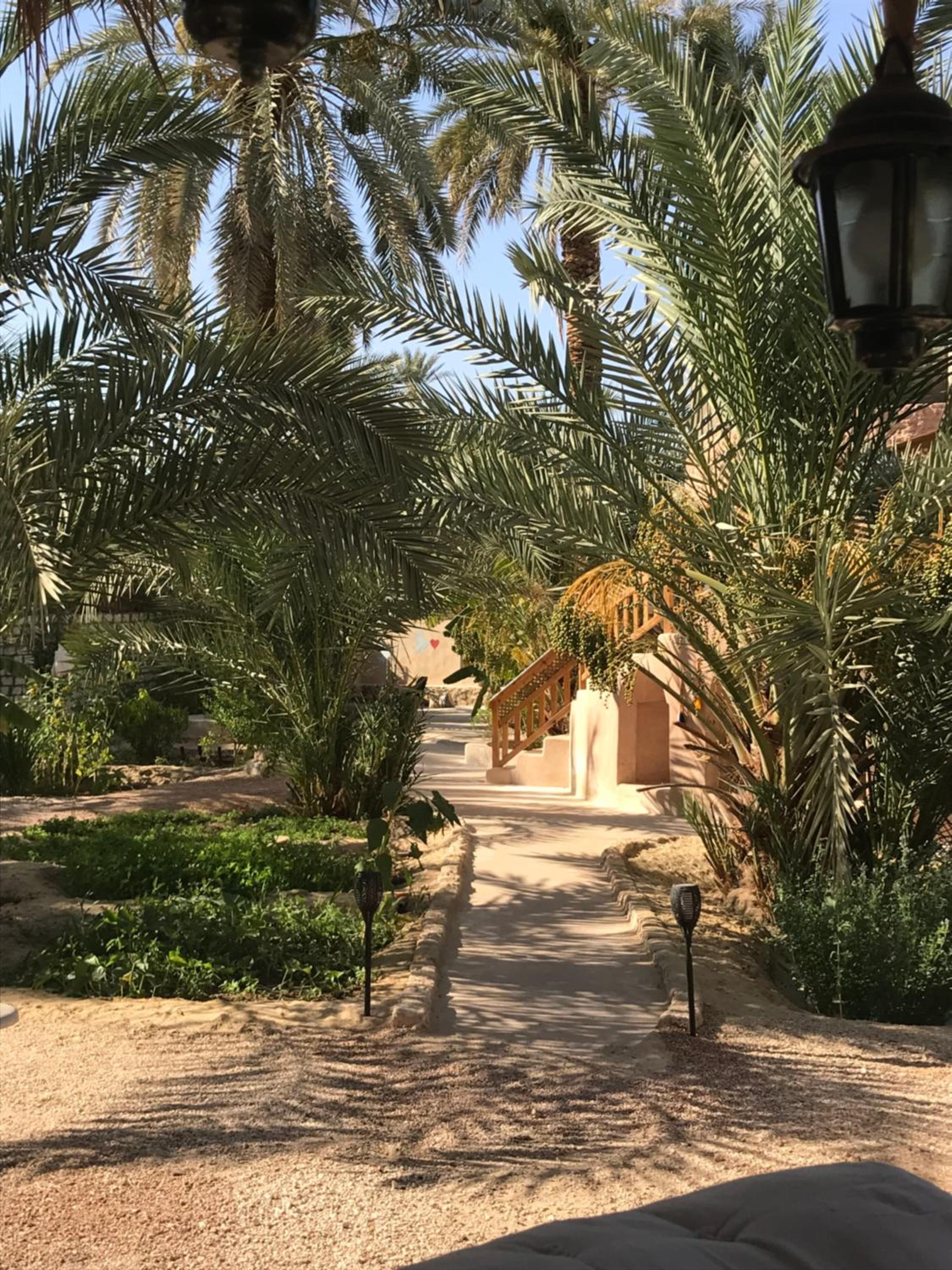 Siwa Spot - March is one of the best months in Siwa, with beautiful spring weather, pleasant sunny days, cooler peaceful nights, and a quiet oasis atmosphe
