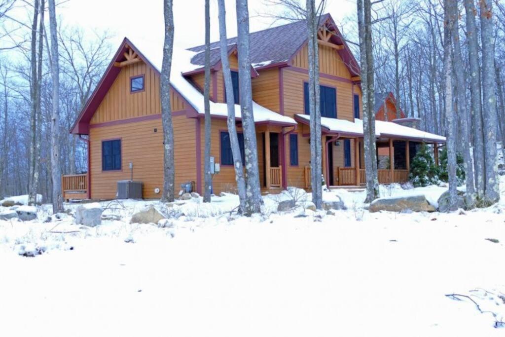 Photo 8