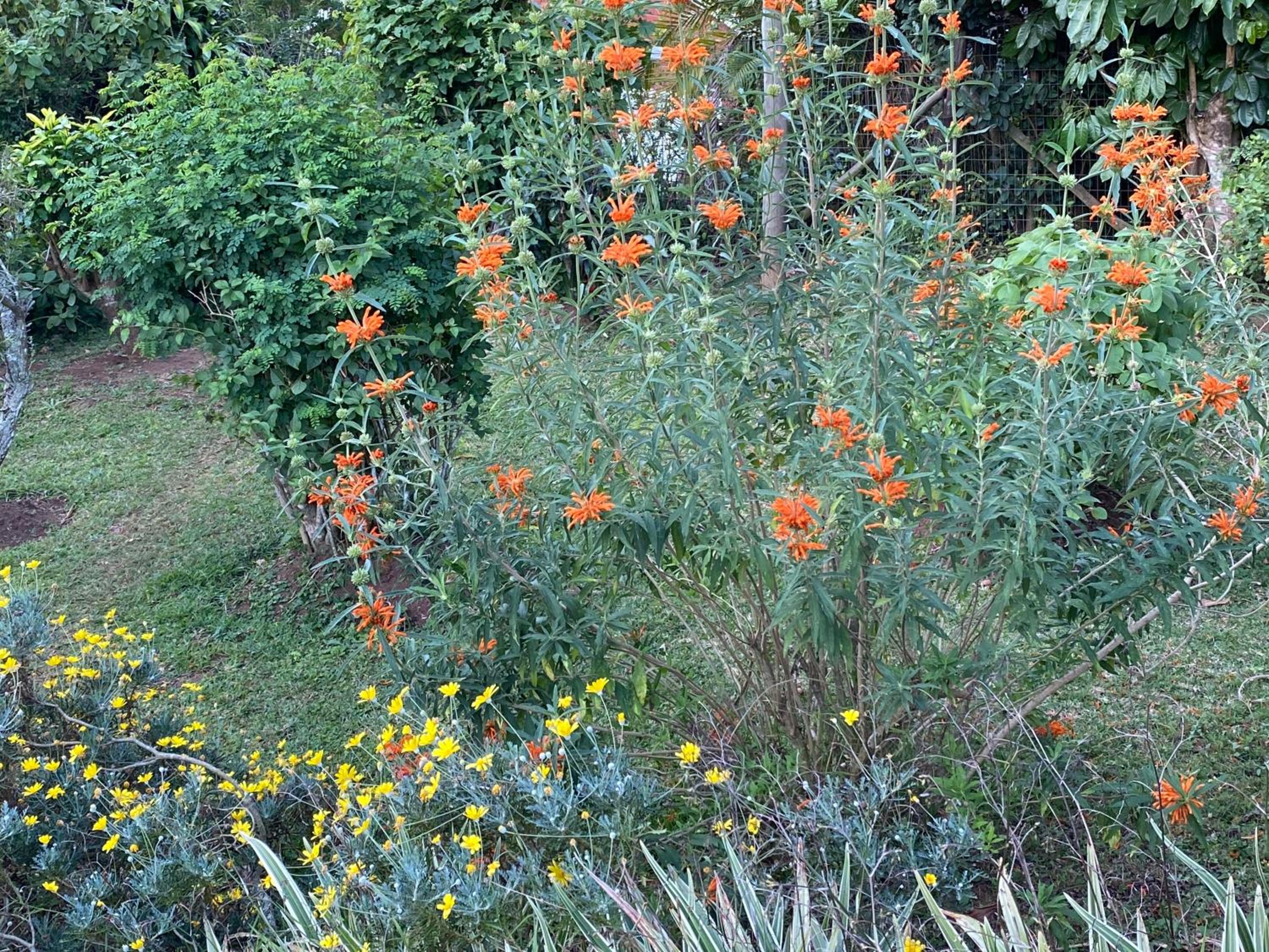 Le Residence de Josephine, photo 78